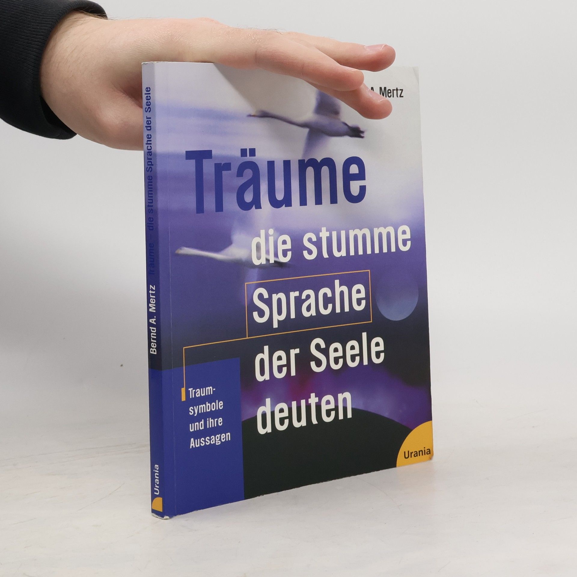 Bernd A. Mertz Träume