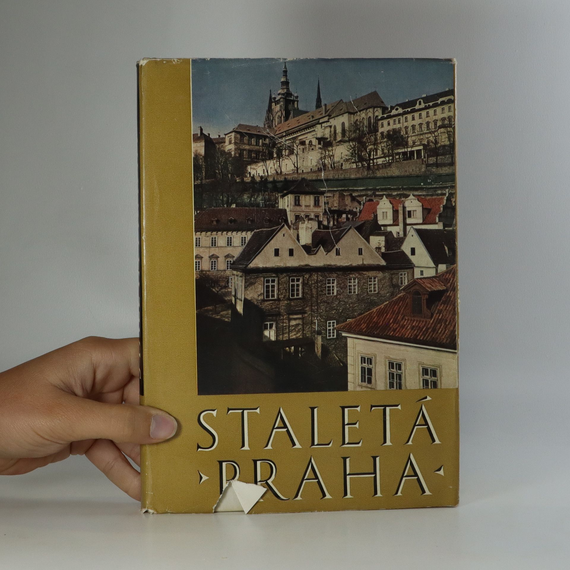 AA.VV. Staletá Praha