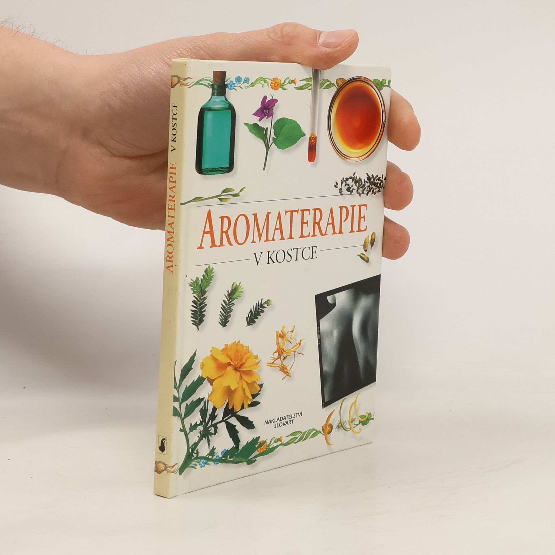 Sheila Lavery Aromaterapie v kostce