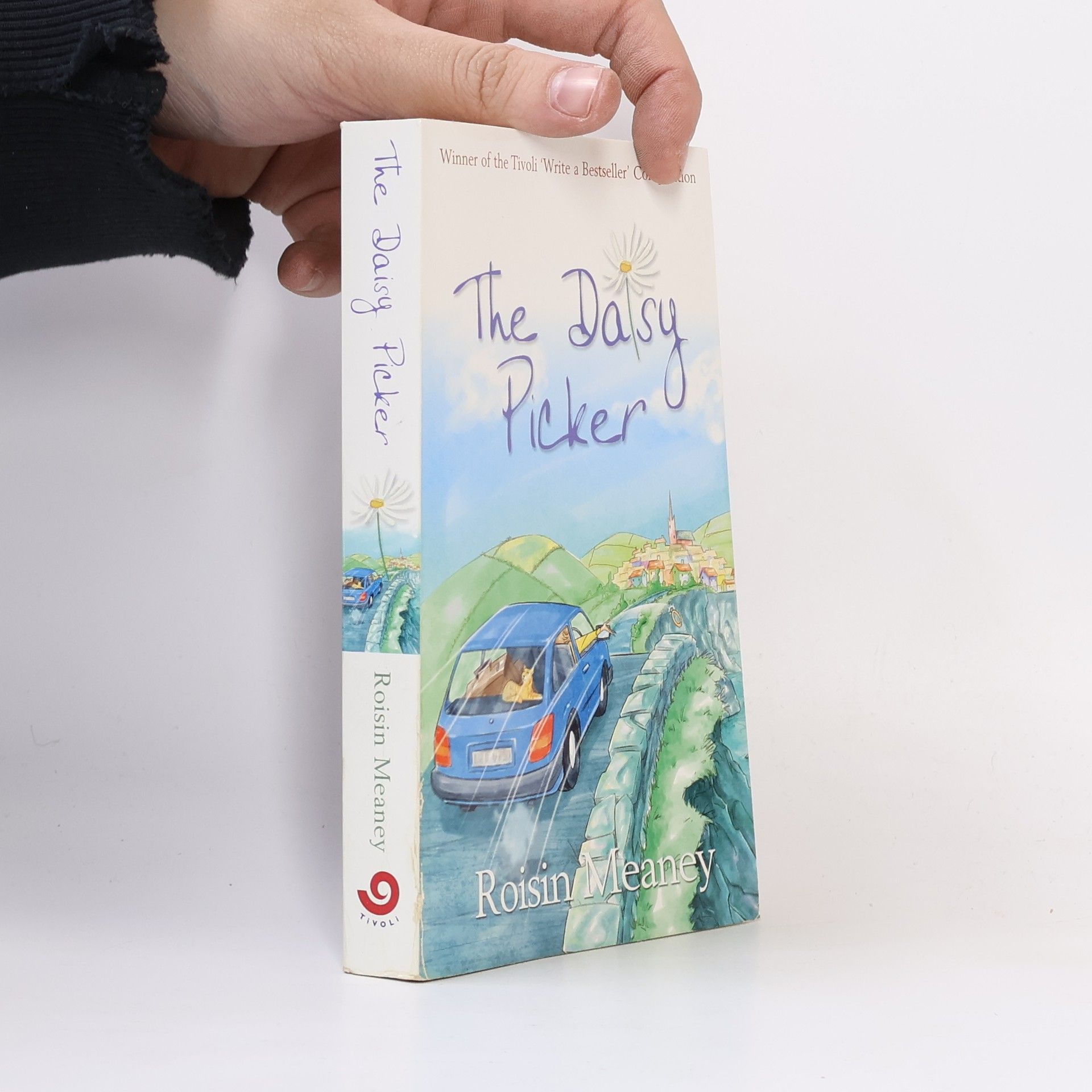 Roisin Meaney The Daisy Picker