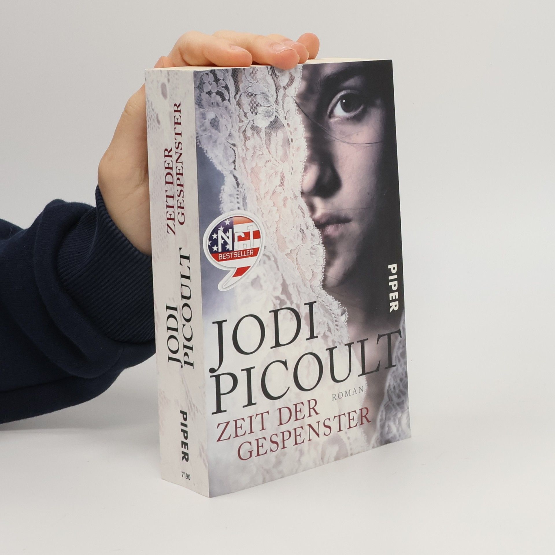 Jodi Picoult Zeit der Gespenster