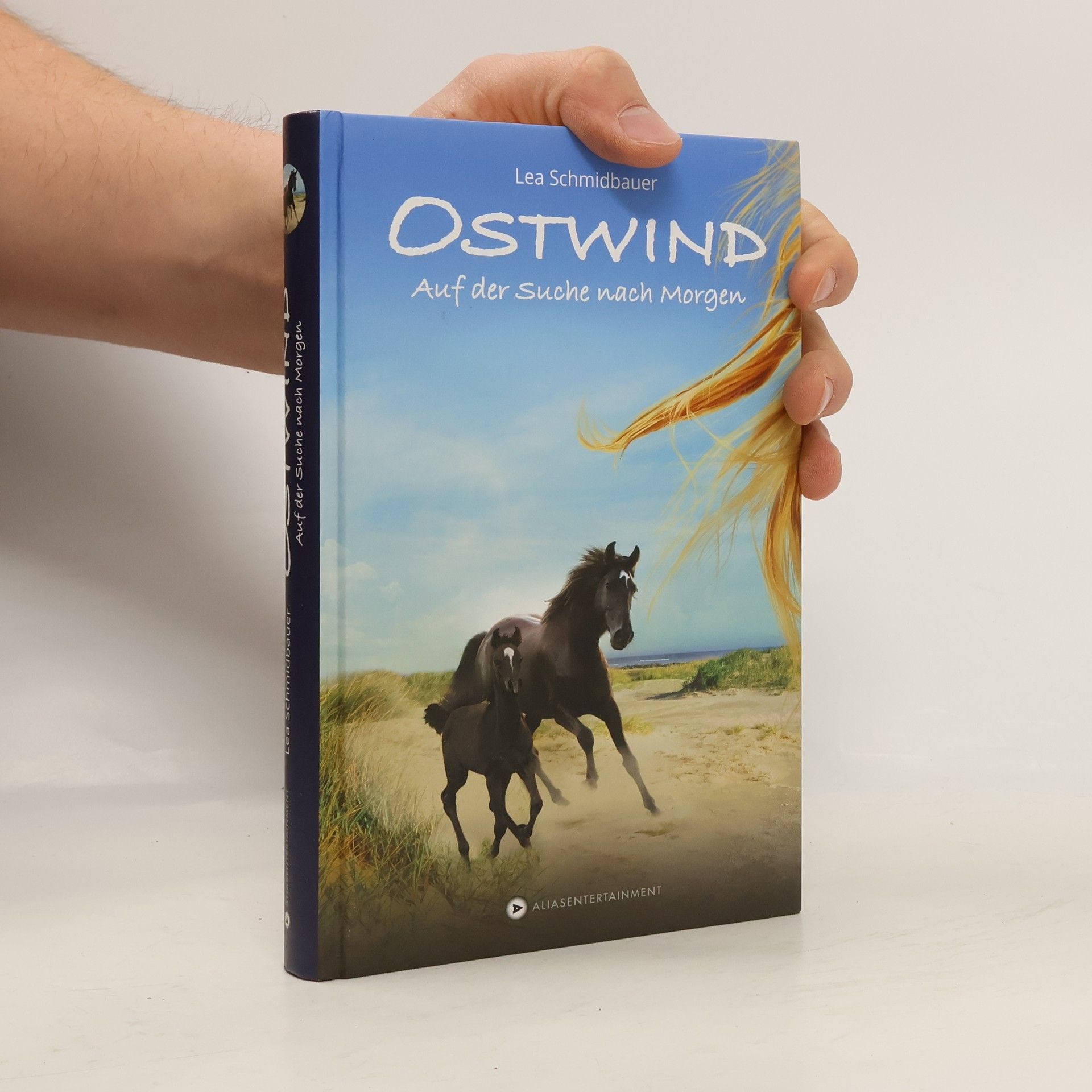 Lea Schmidbauer Ostwind - auf der Suche nach Morgen