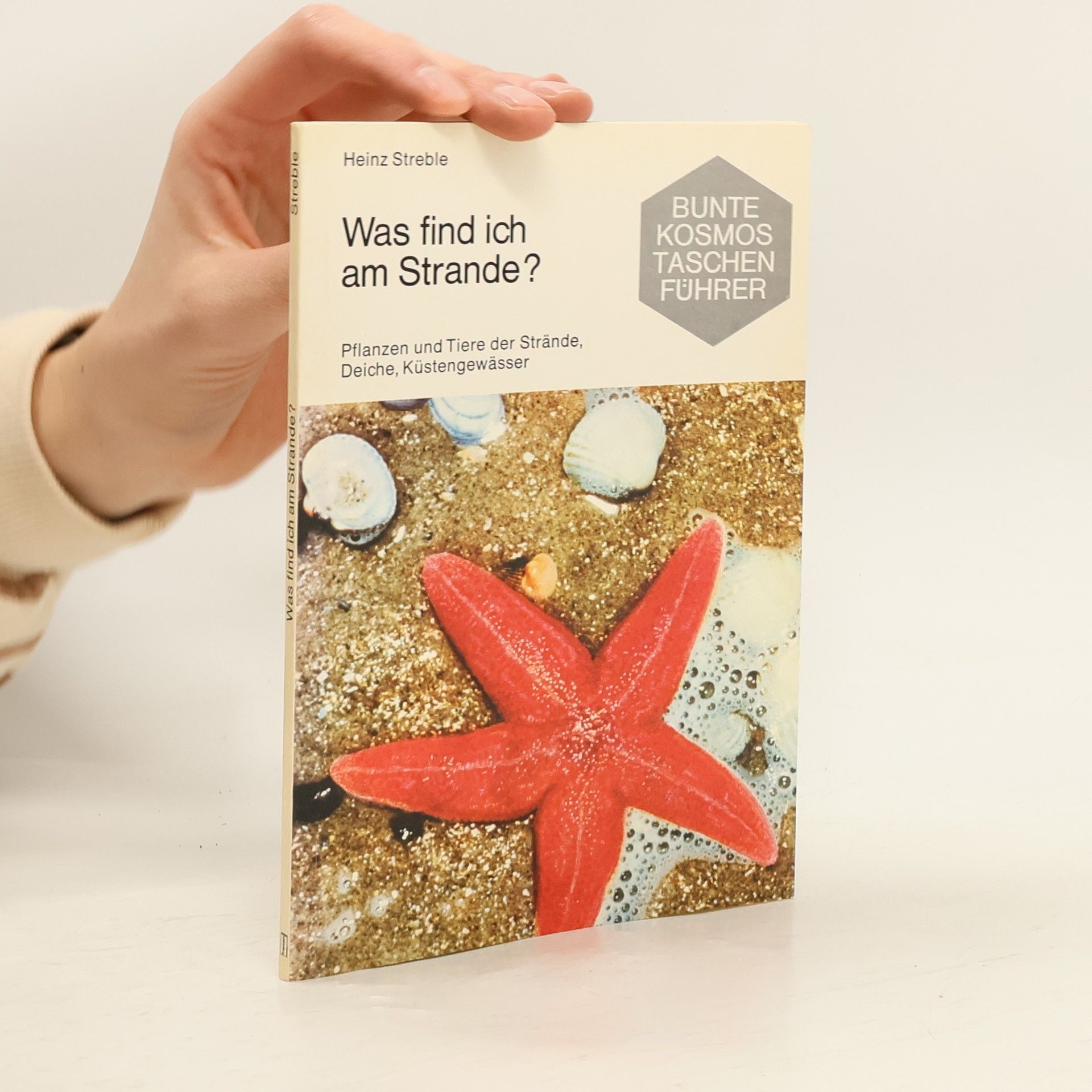 Was find ich am Strande?