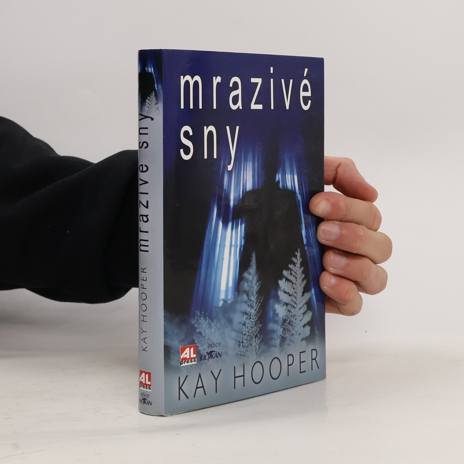 Kay Hooper Mrazivé sny