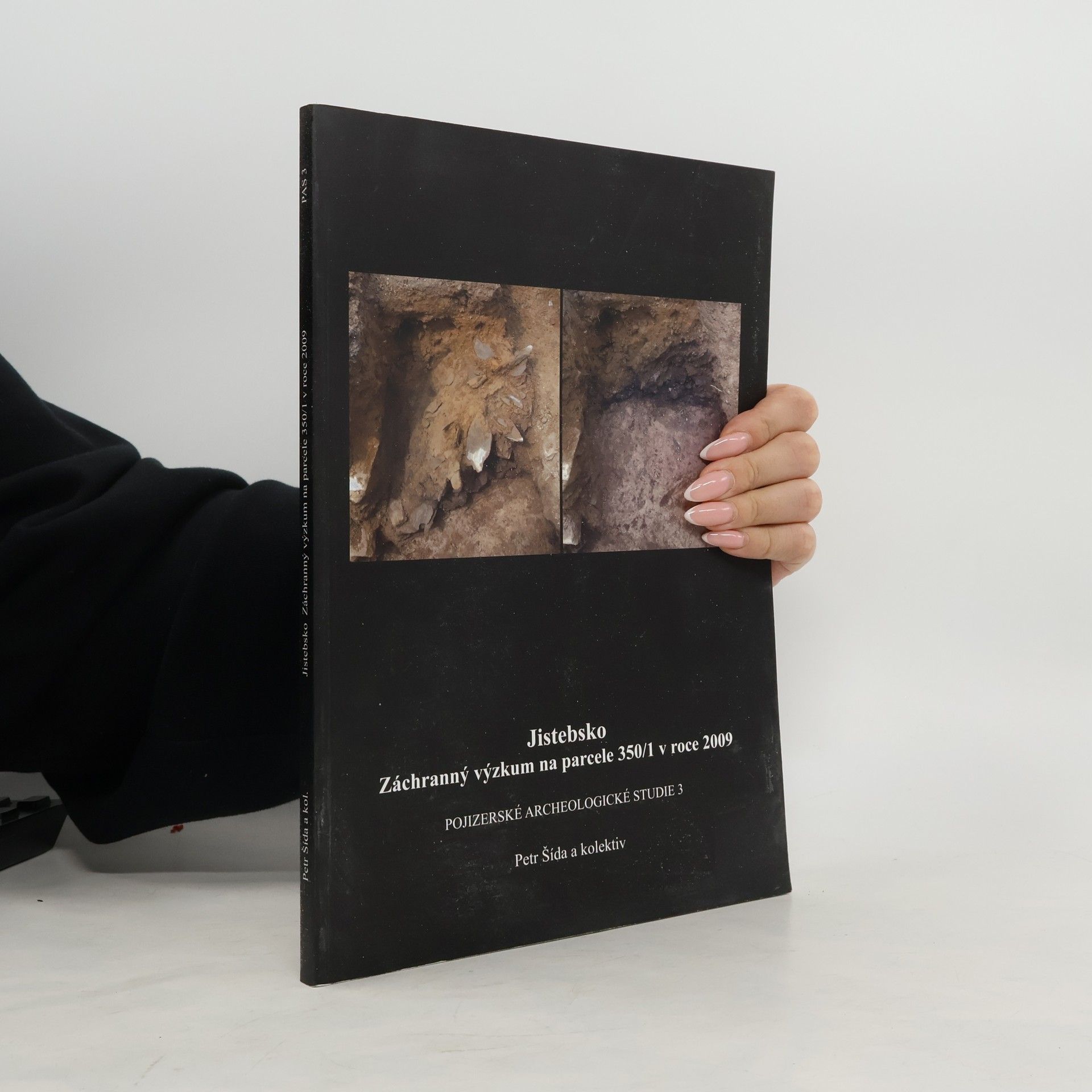 Jistebsko. Záchranný výzkum na parcele 350/1 v roce 2009