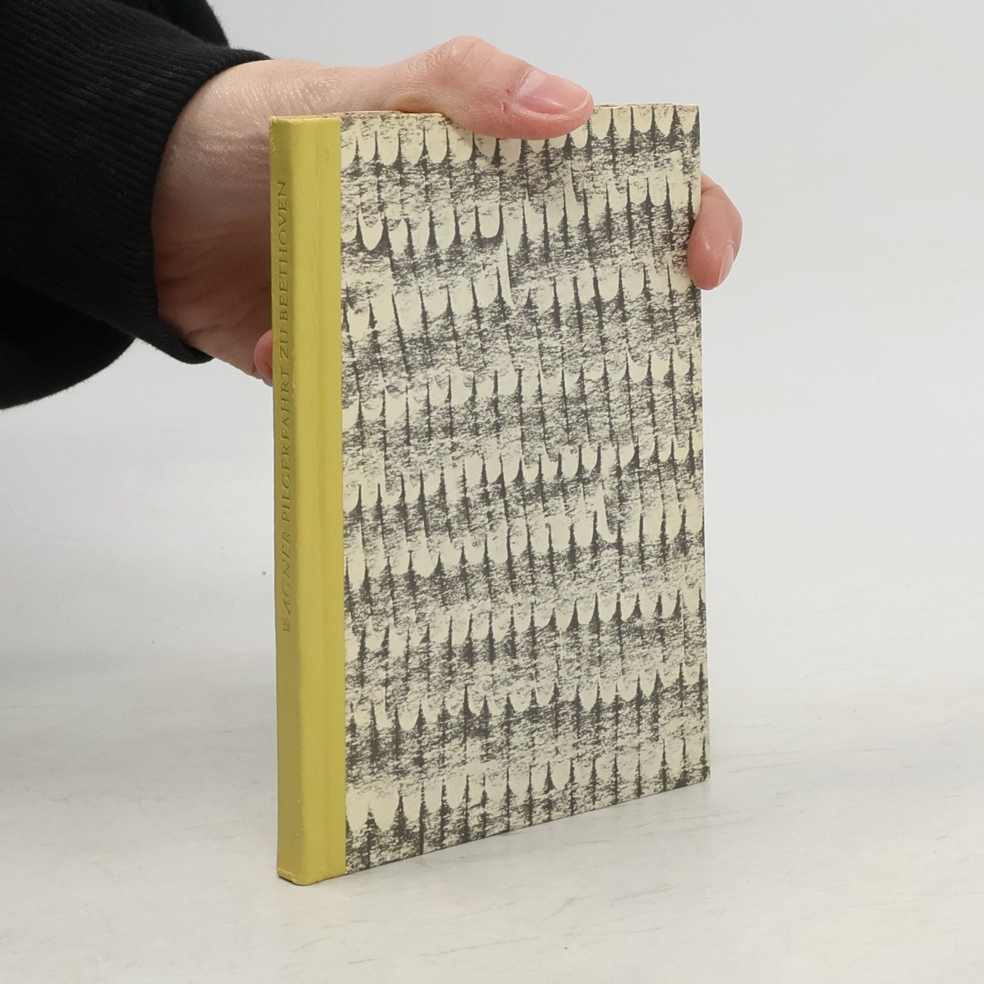 Richard Wagner Eine Pilgerfahrt zu Beethoven