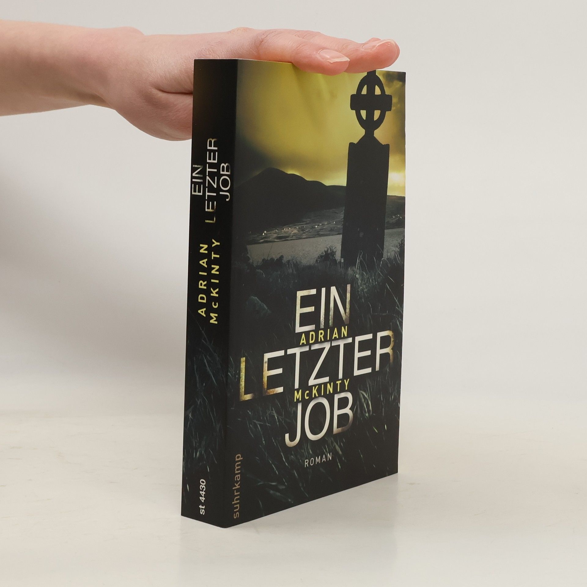 Adrian McKinty Ein letzter Job