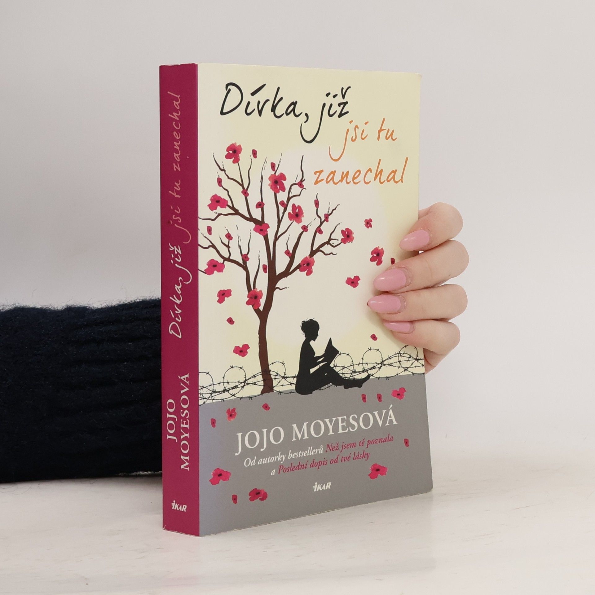 Jojo Moyes Dívka, již jsi tu zanechal