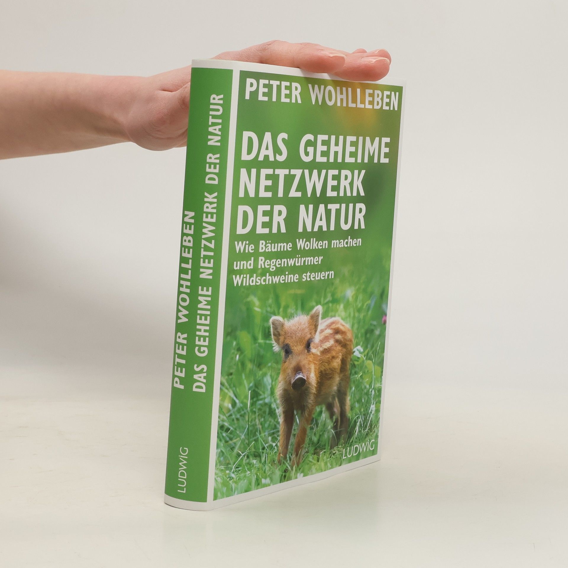 Peter Wohlleben Das geheime Netzwerk der Natur