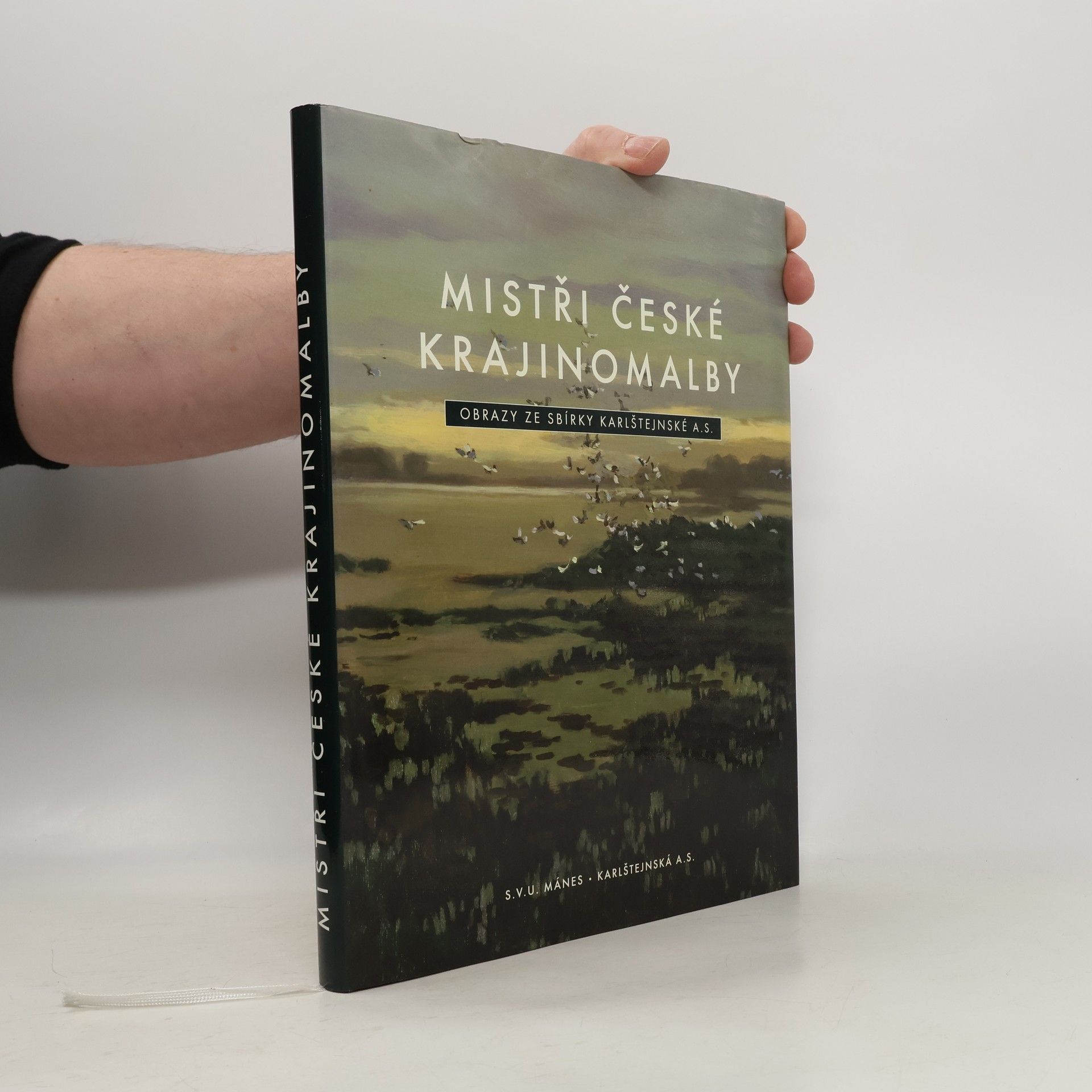 Kolektív autorov Mistři české krajinomalby