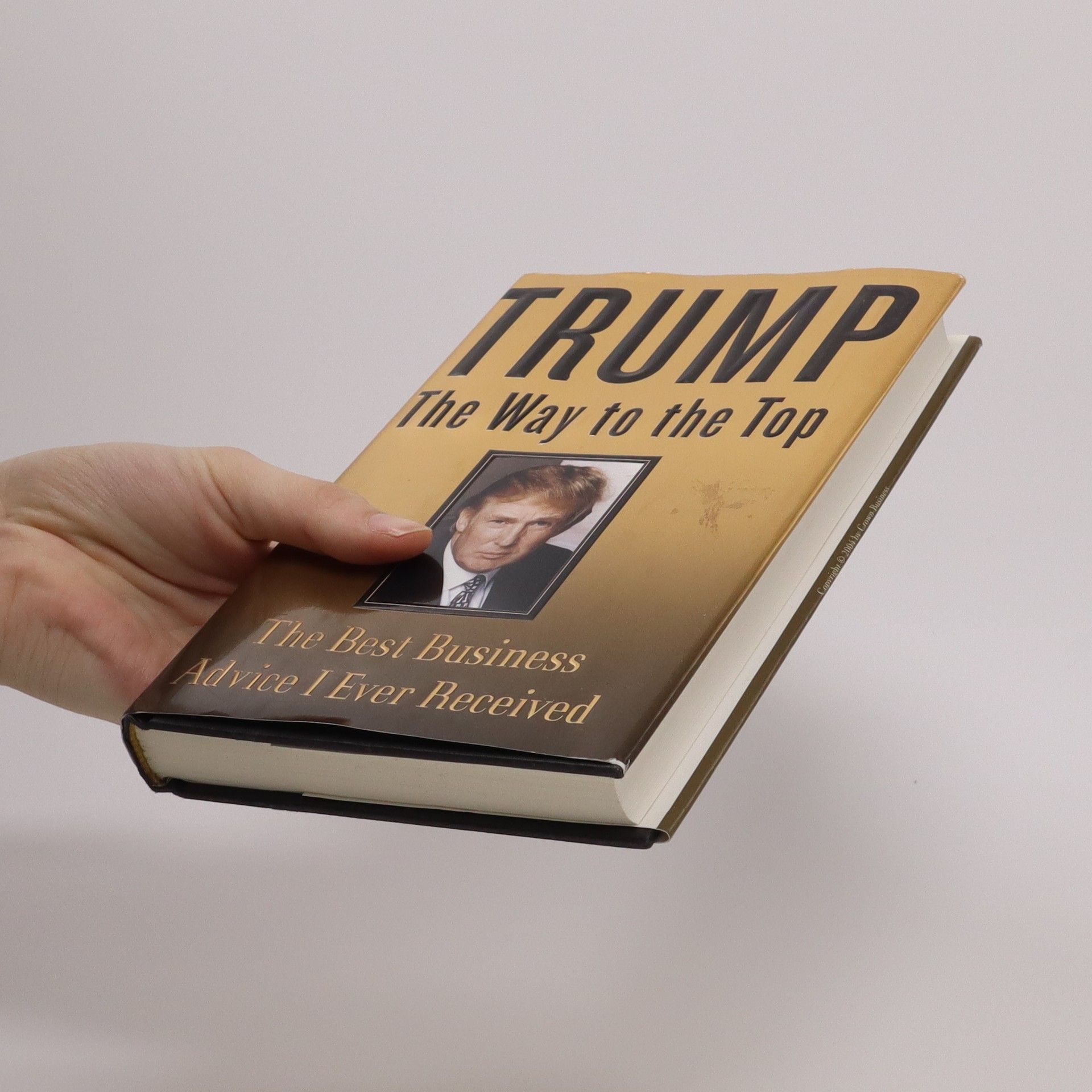 Donald Trump The Way to the Top
