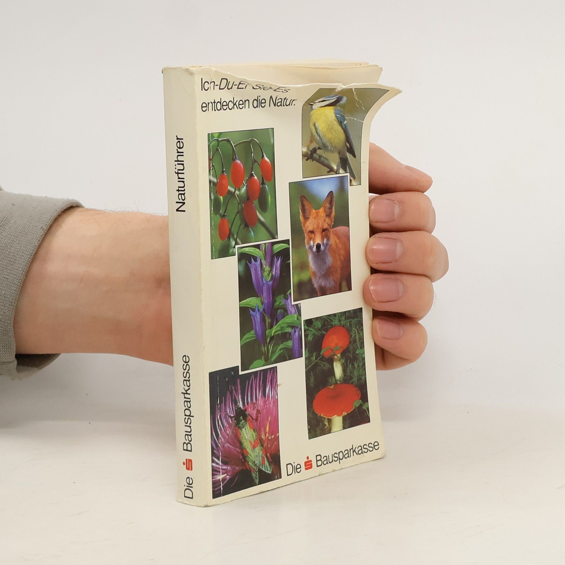 Autorenkollektiv Naturführer