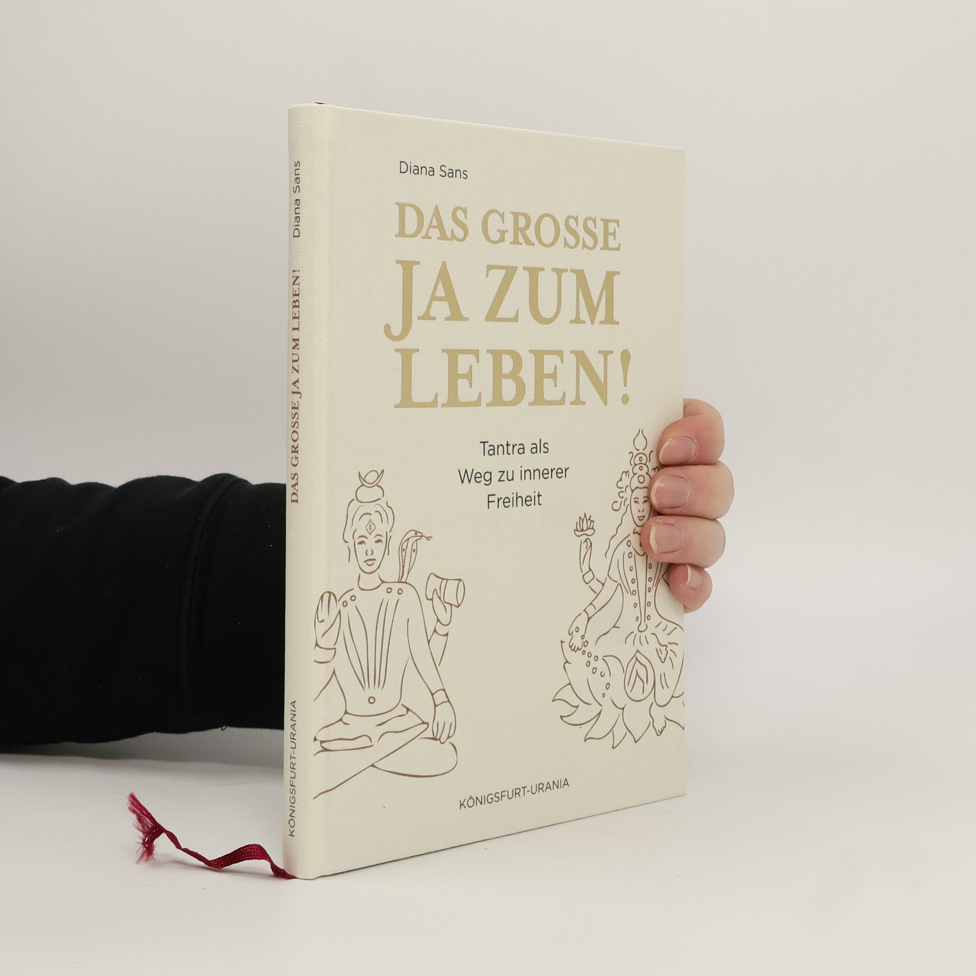 Diana Sans Das große Ja zum Leben!