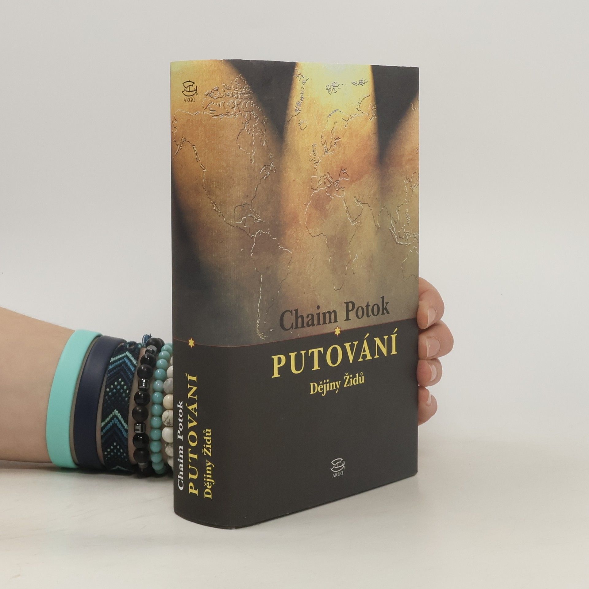 Chaim Potok Putování : dějiny Židů