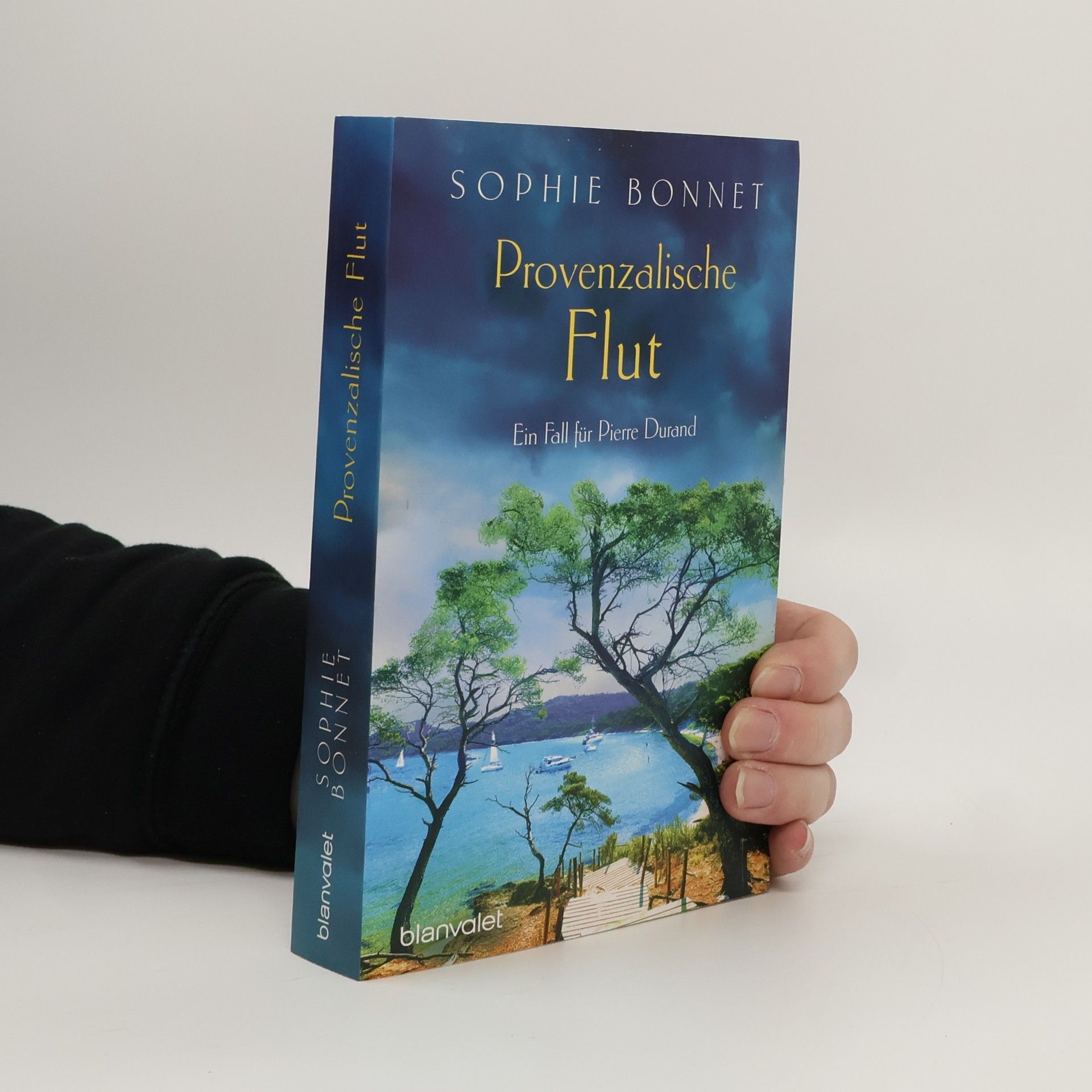 Sophie Bonnet Provenzalische Flut