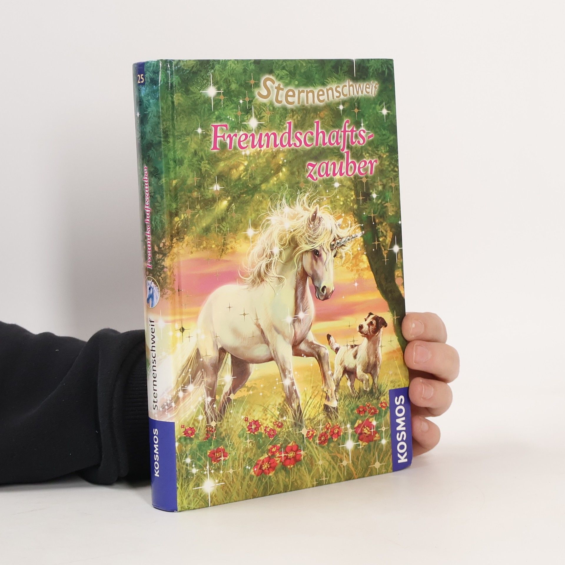 Linda Chapman Sternenschweif. Freundschaftszauber 25