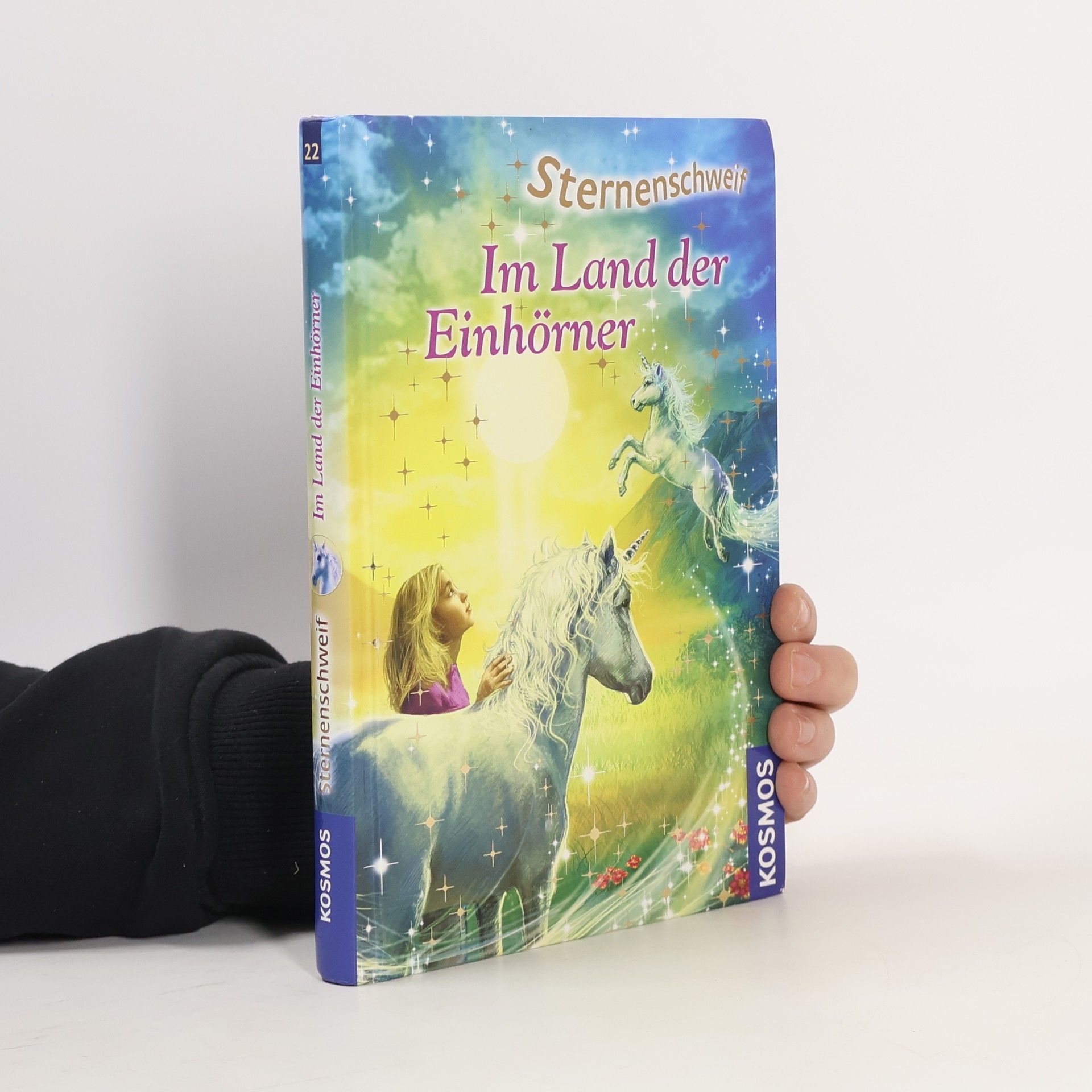 Ina Brandt Im Land der Einhörner