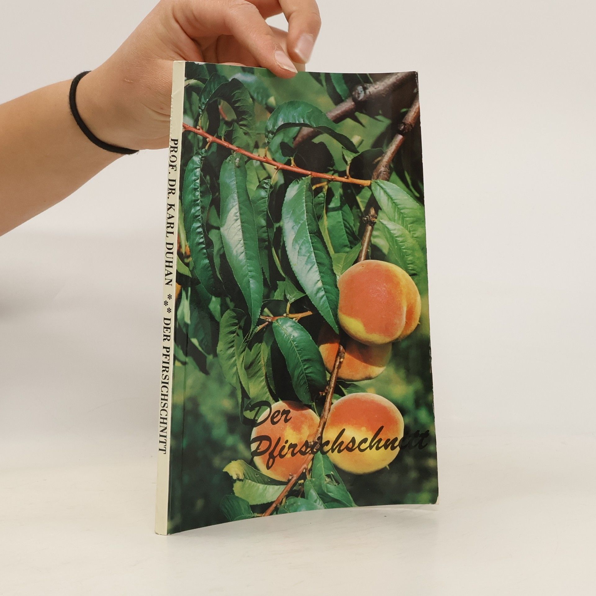 Karl Duhan Der Pfirsichschnitt