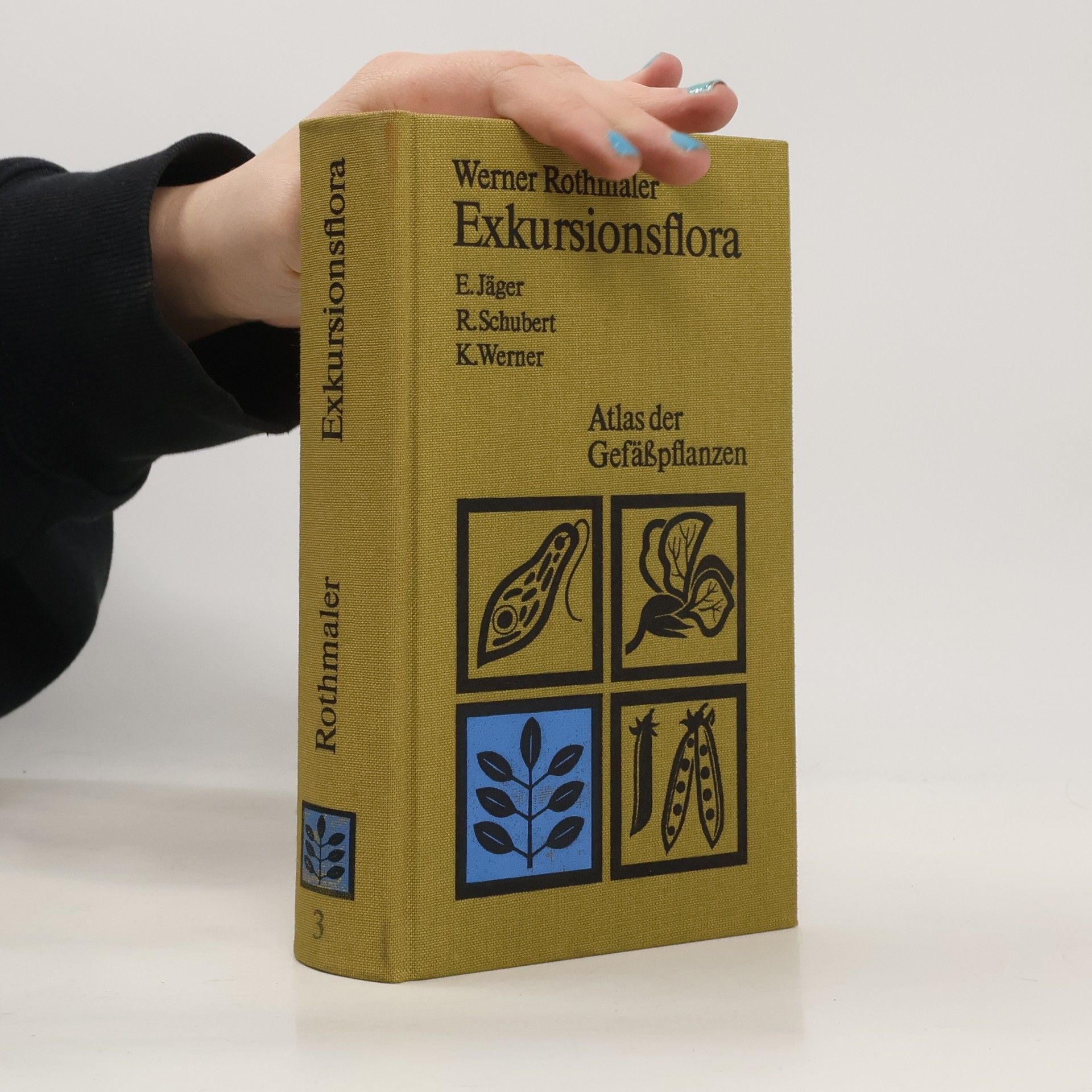 Werner Rothmaler Exkursionsflora