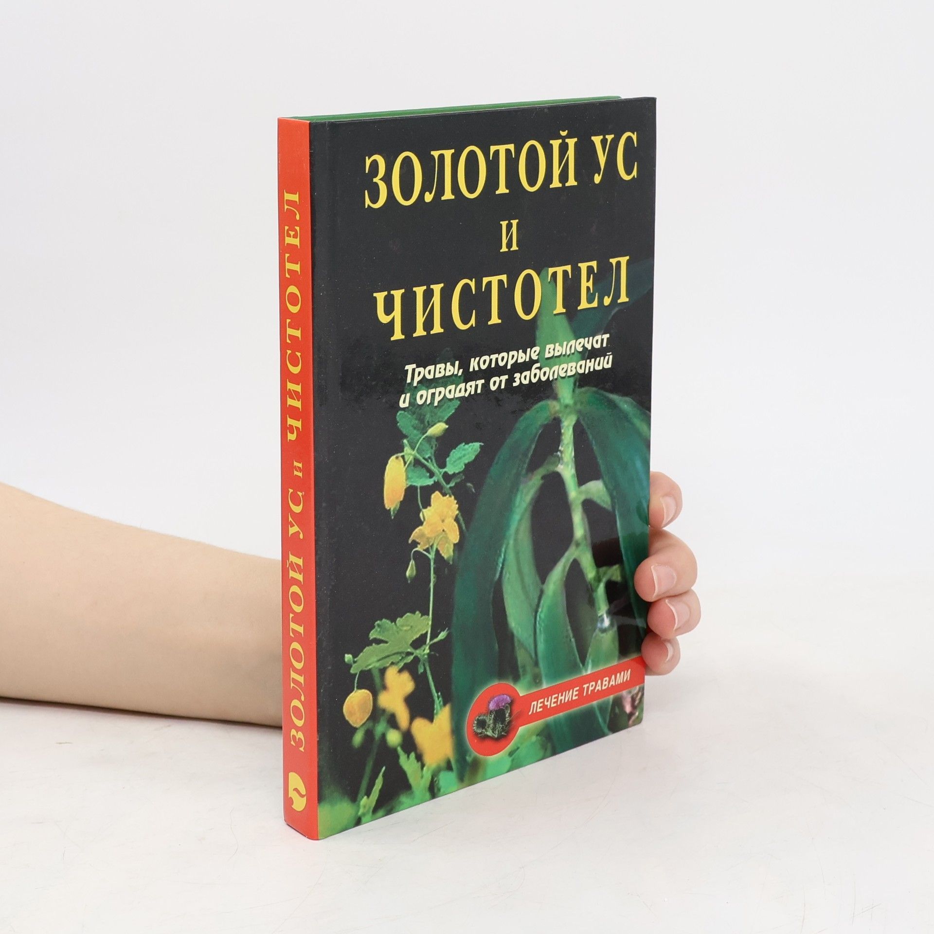 Золотой ус и чистотел