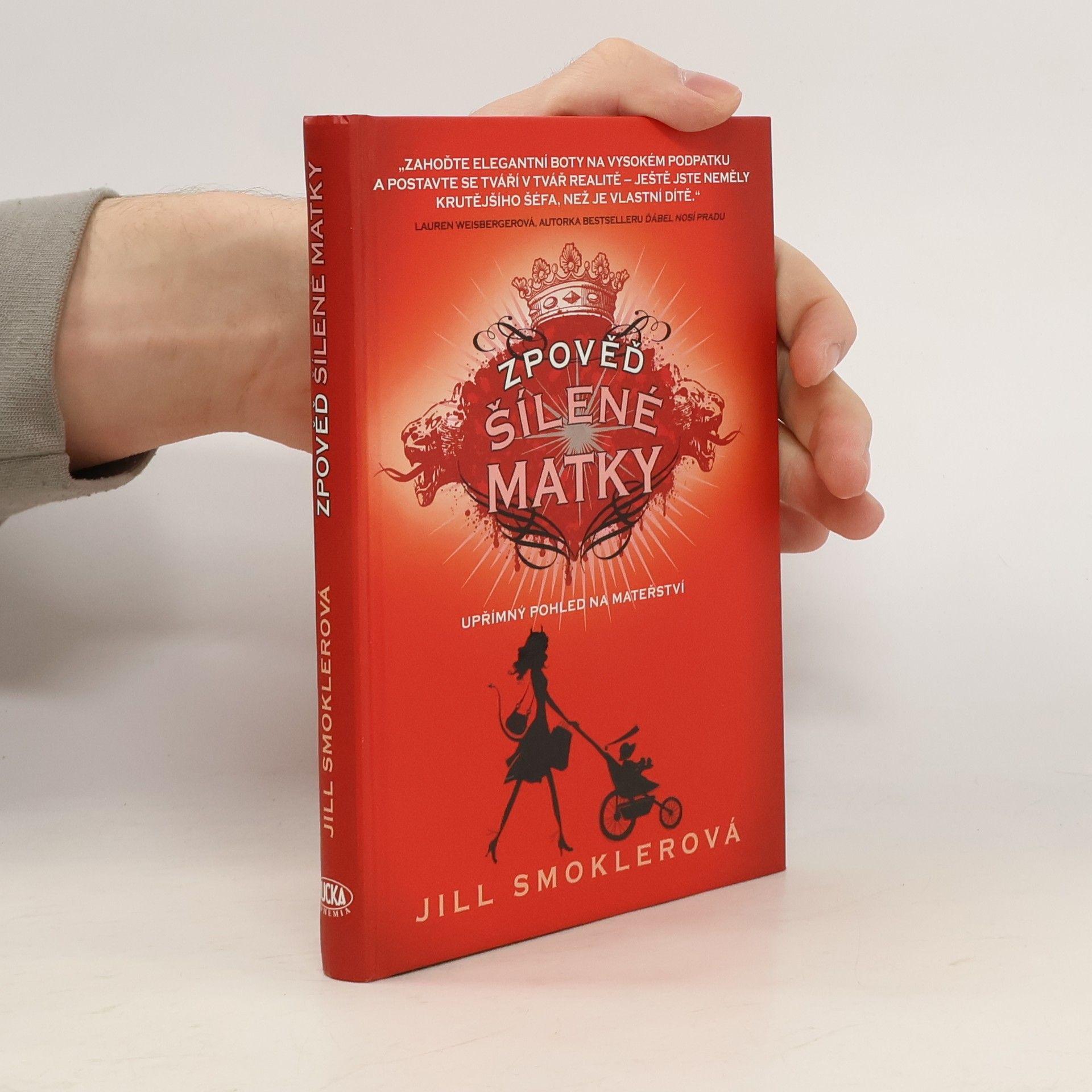 Jill Smokler Zpověď šílené matky. Upřímný pohled na mateřství