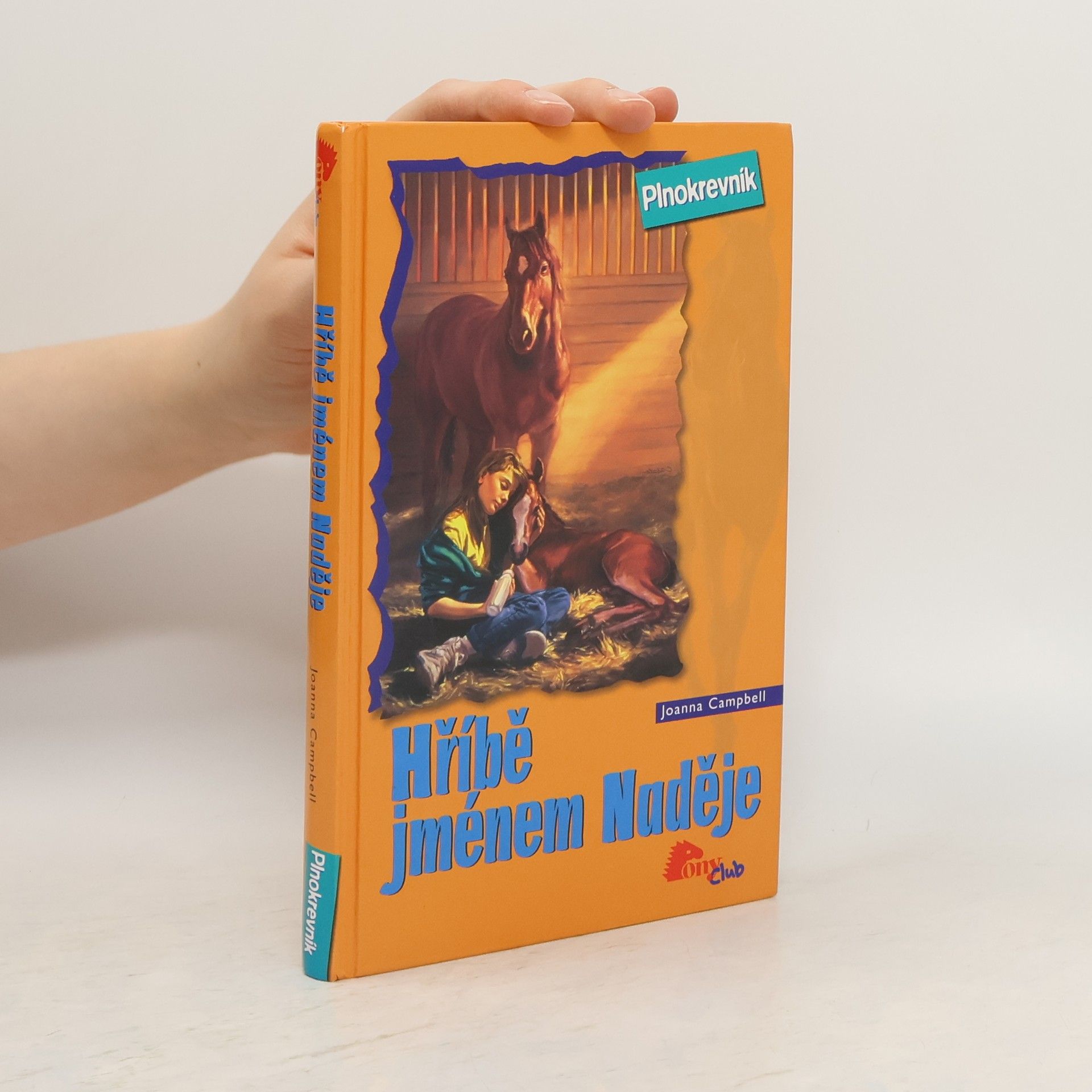 Joanna Campbell Hříbě jménem Naděje