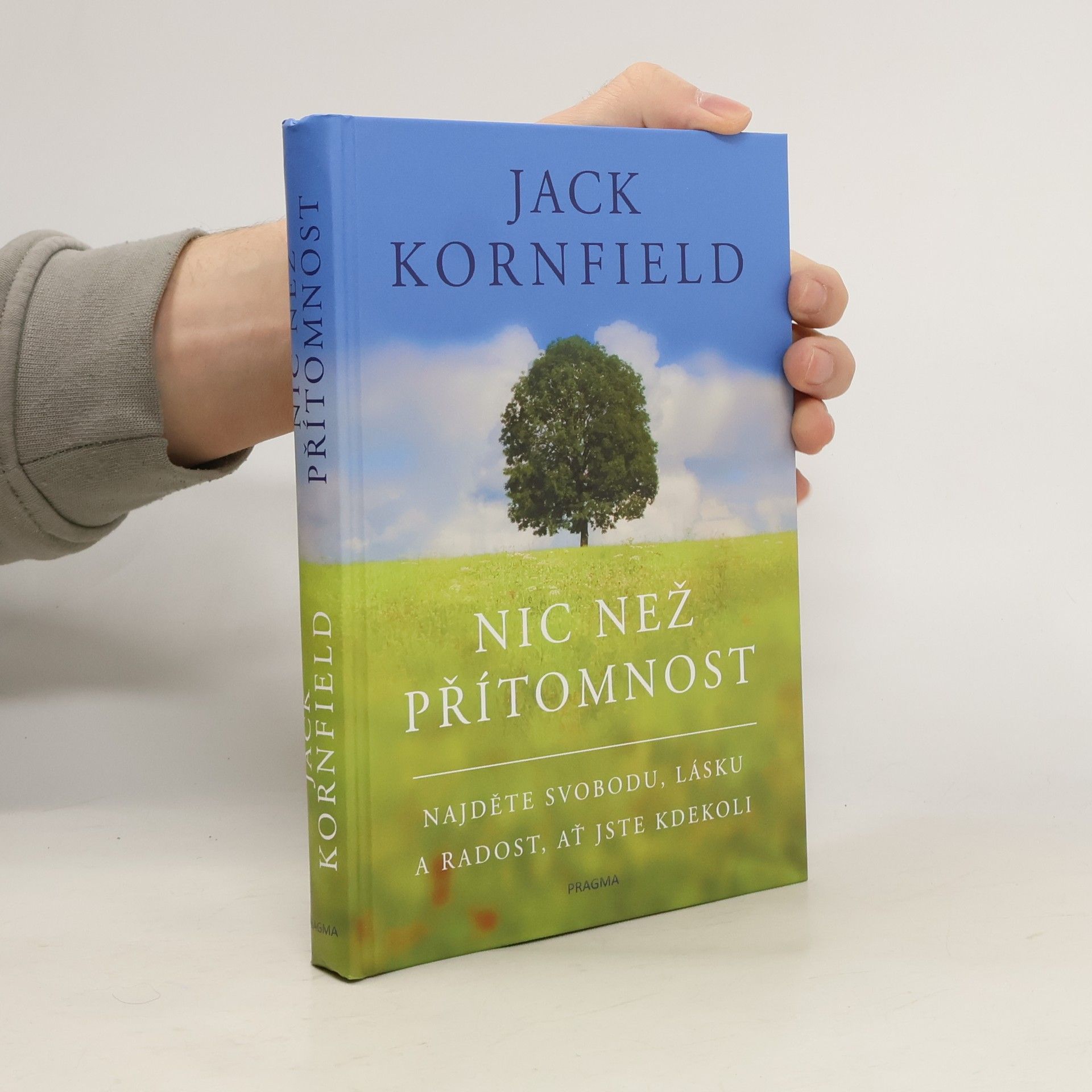 Jack Kornfield Nic než přítomnost