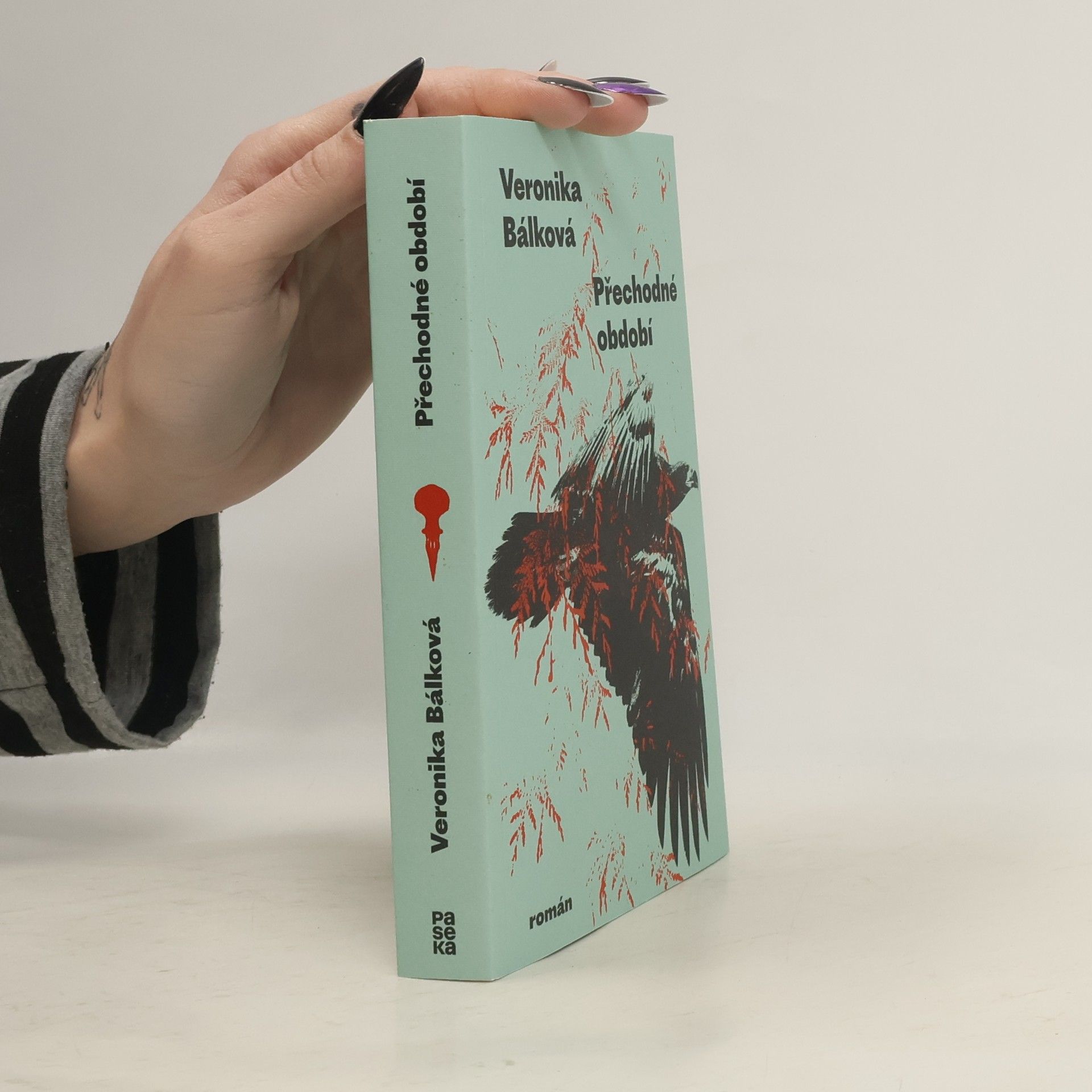 Veronika Bálková Přechodné období