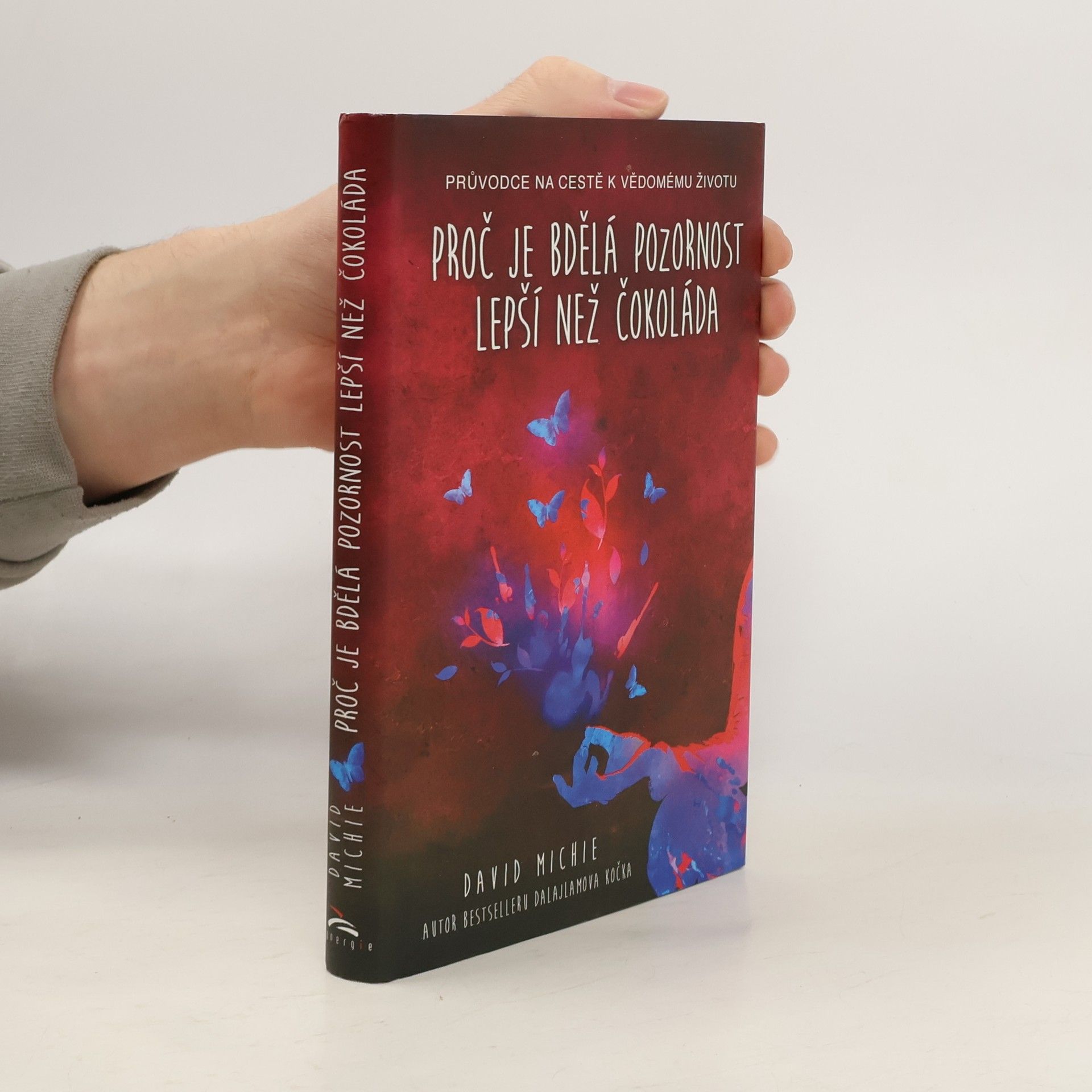 David Michie Proč je bdělá pozornost lepší než čokoláda