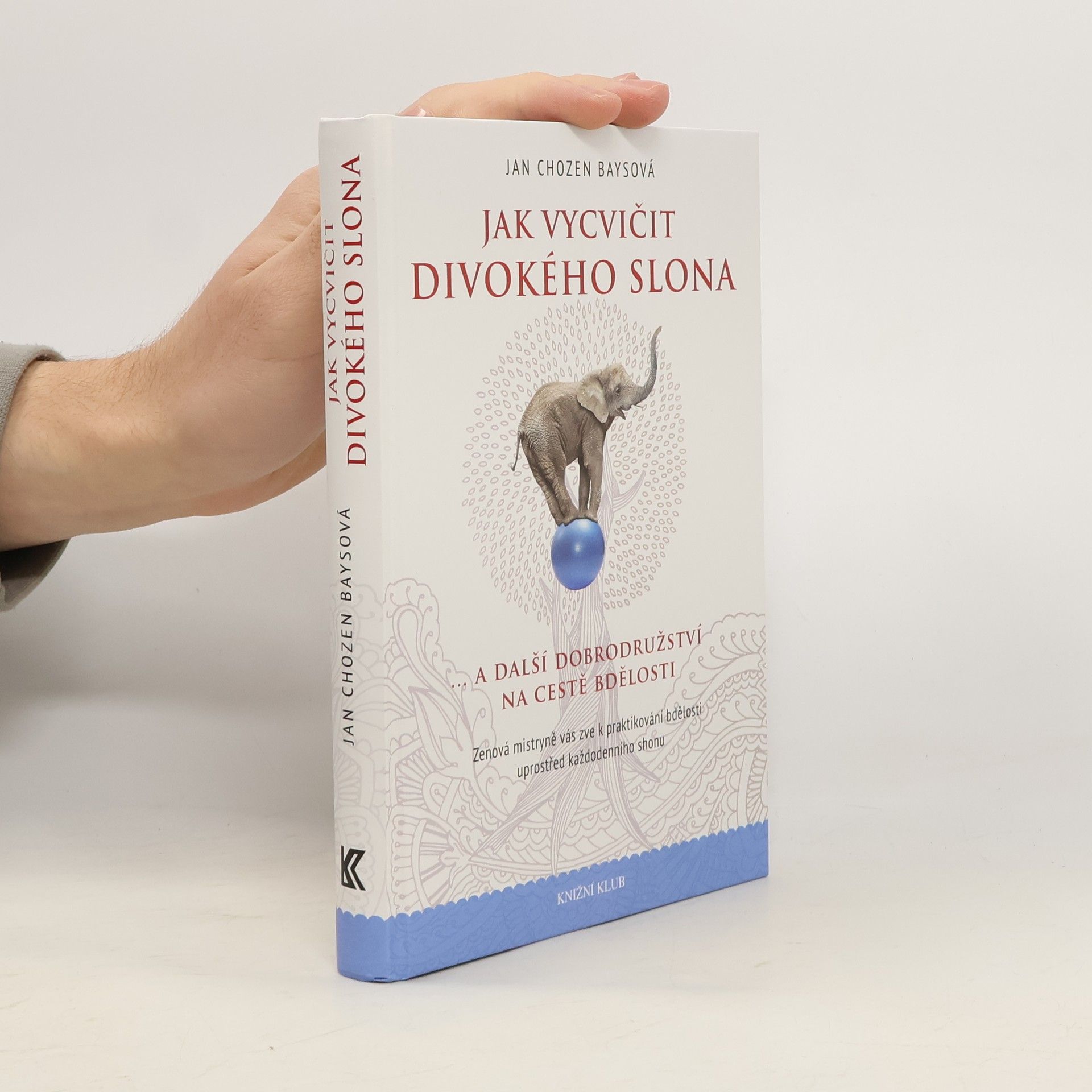 Jan Chozen Bays Jak vycvičit divokého slona...a další dobrodružství na cestě bdělosti