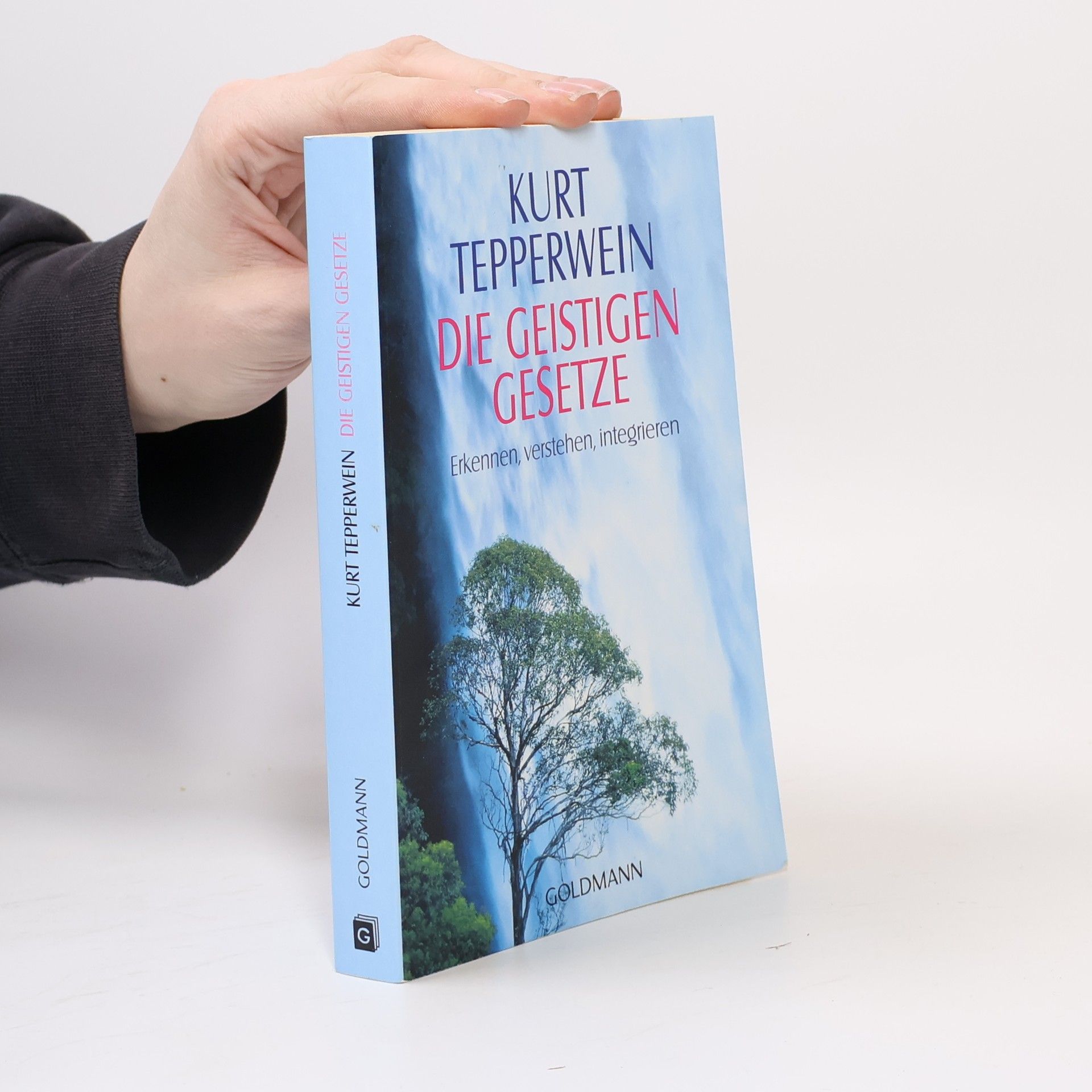Kurt Tepperwein Die geistigen Gesetze