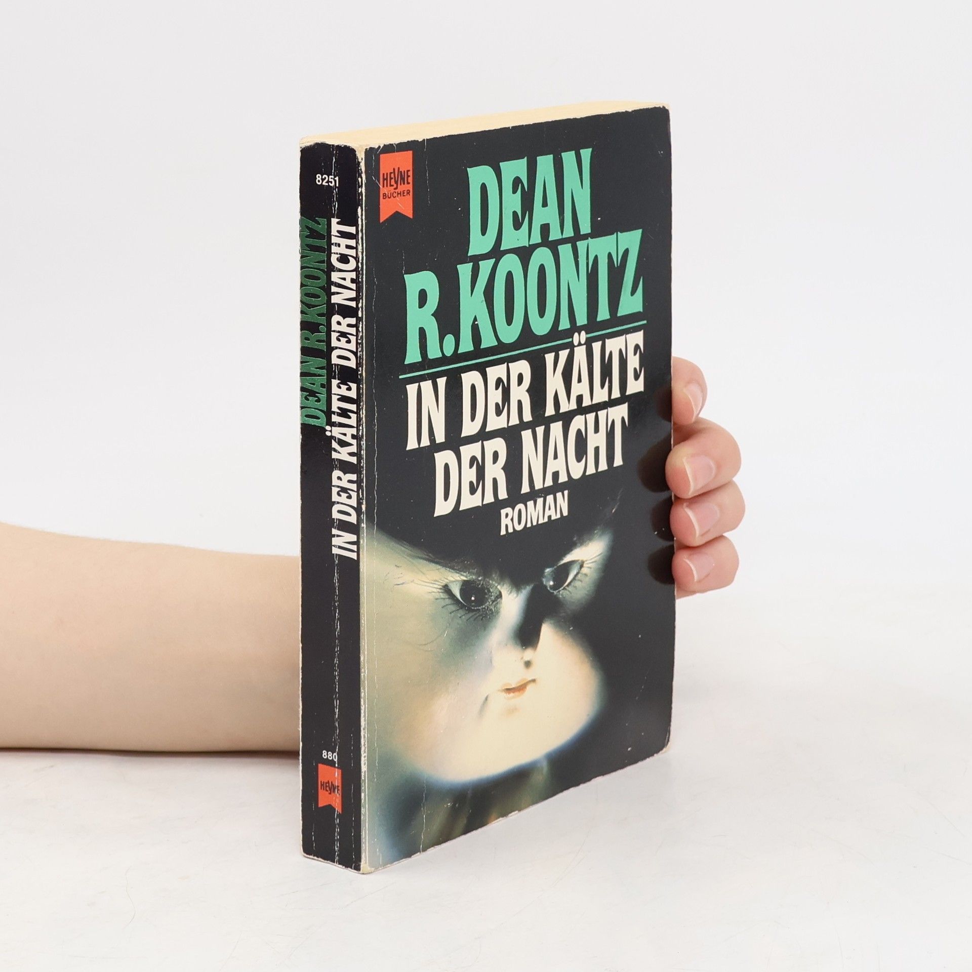Dean R. Koontz In der Kälte der Nacht