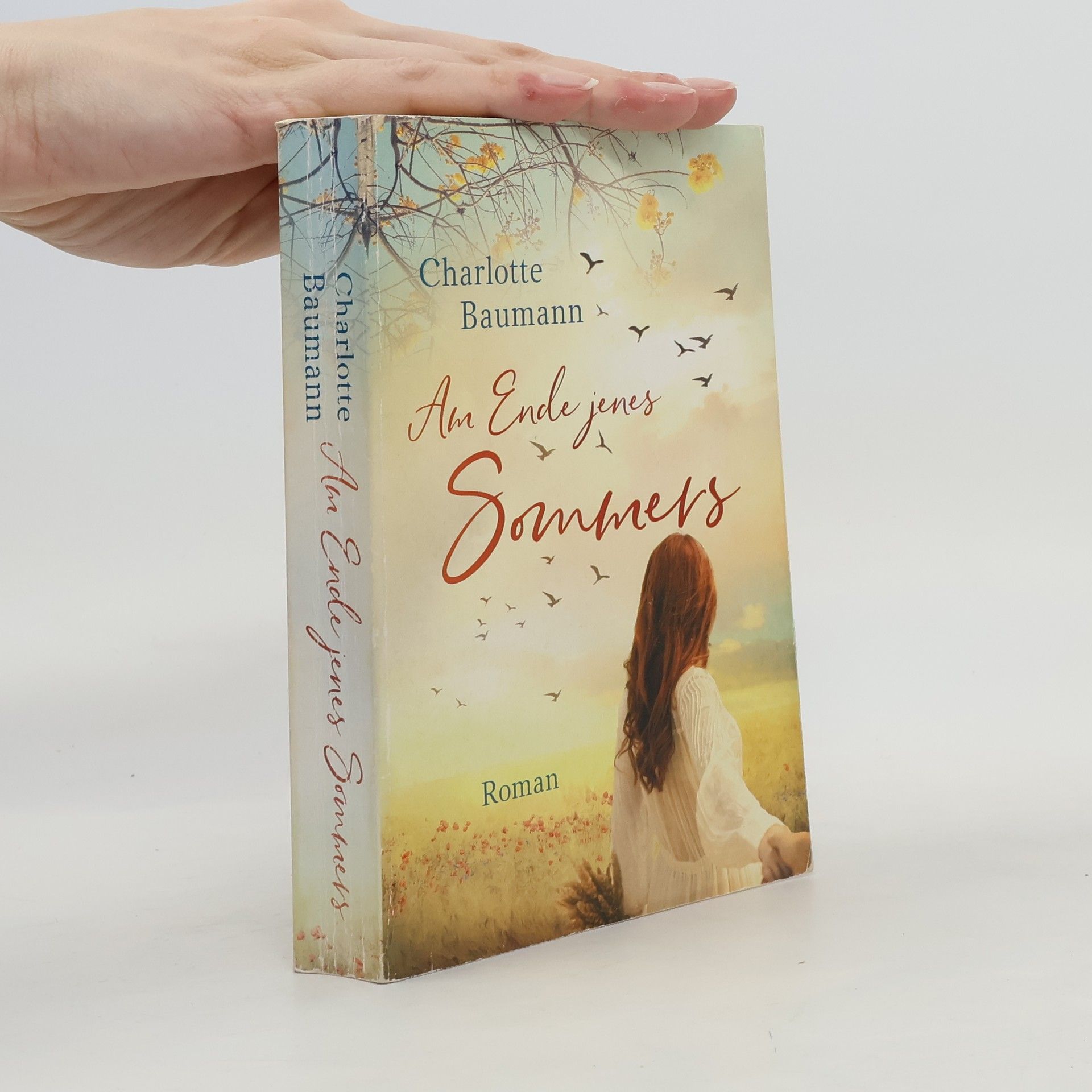 Am Ende jenes Sommers