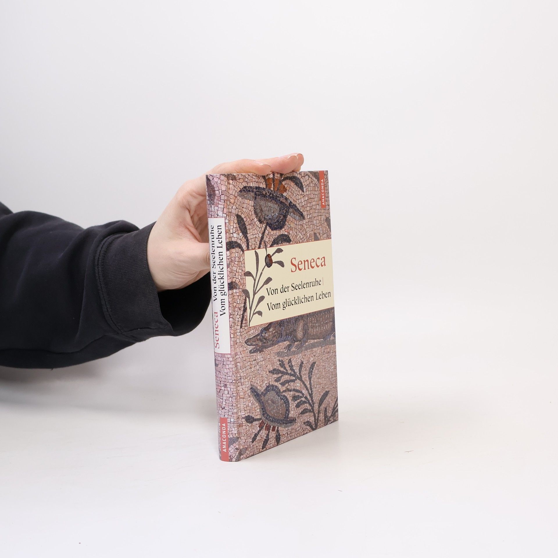 Lucius A. Seneca Von der Seelenruhe