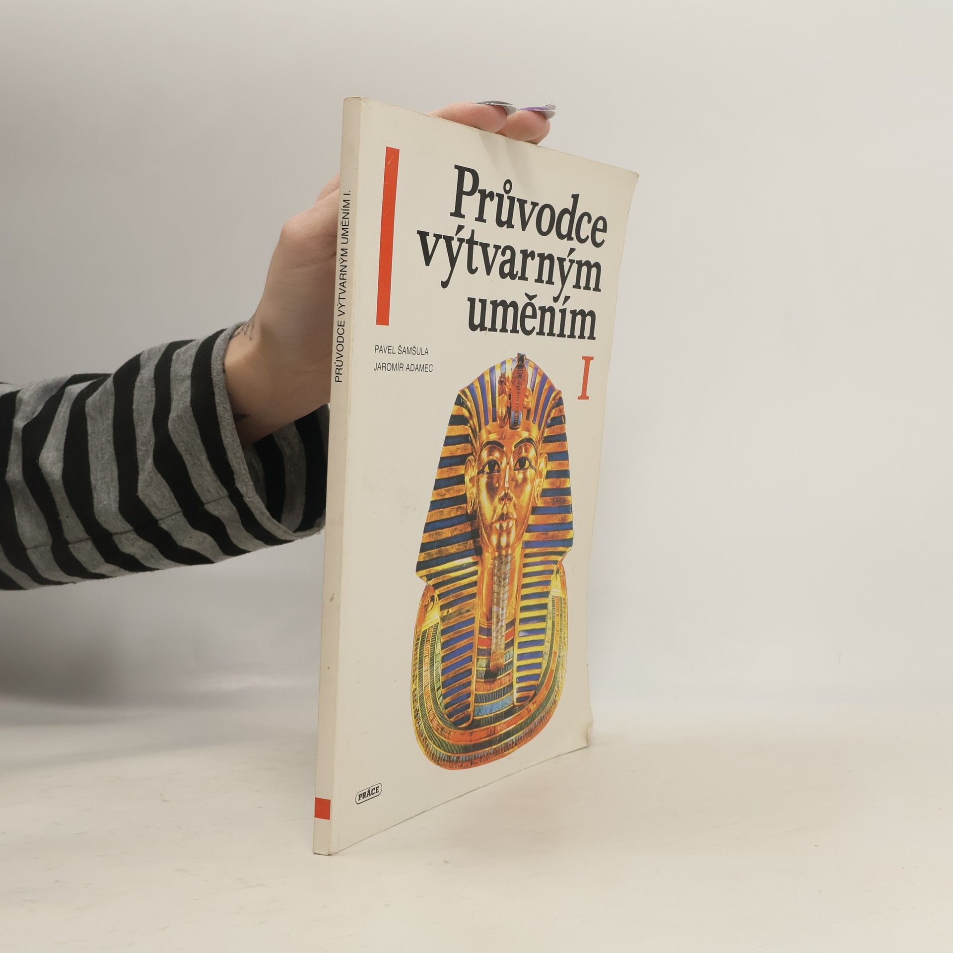 Pavel Šamšula Průvodce výtvarným uměním I