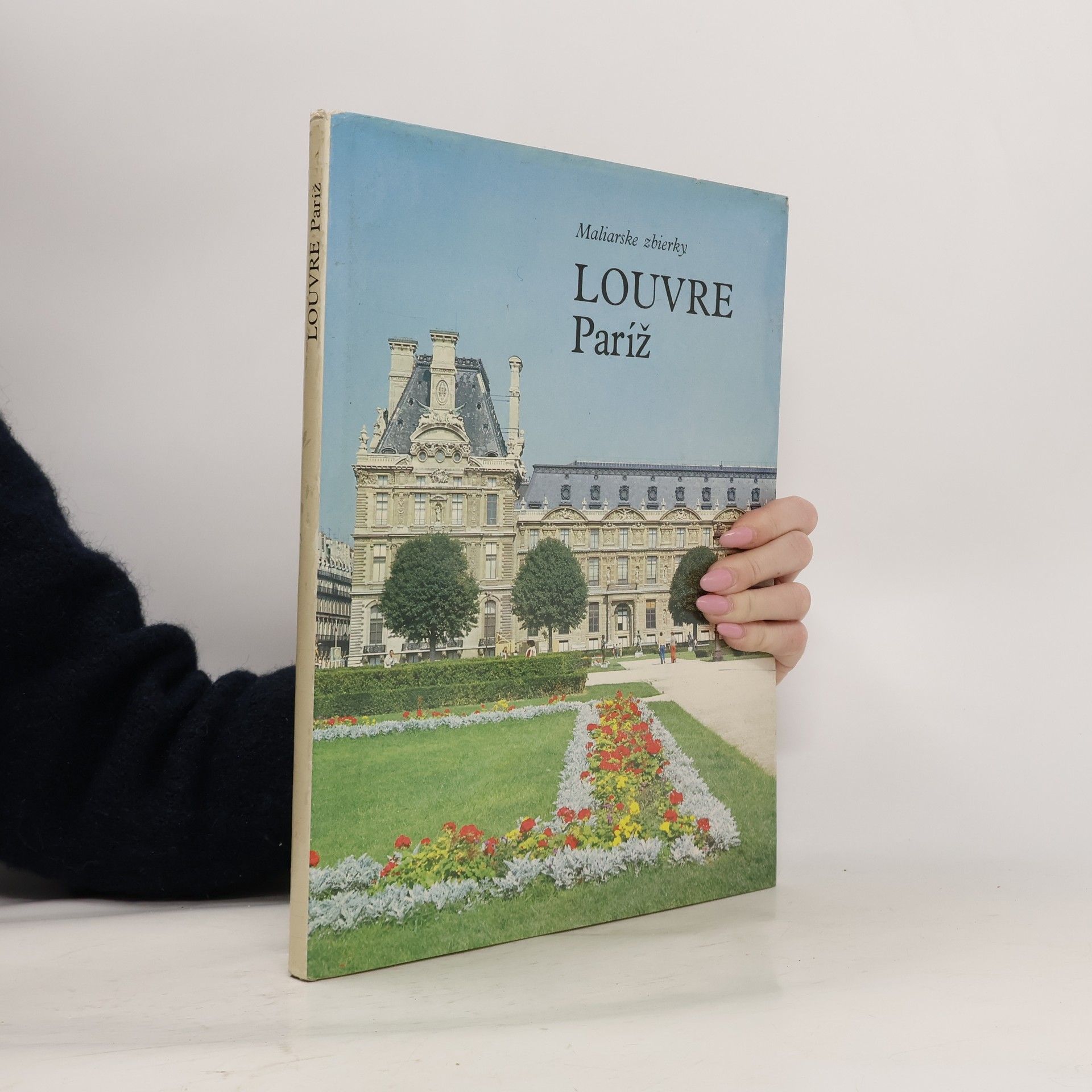 Louvre Paríž : Maliarske zbierky