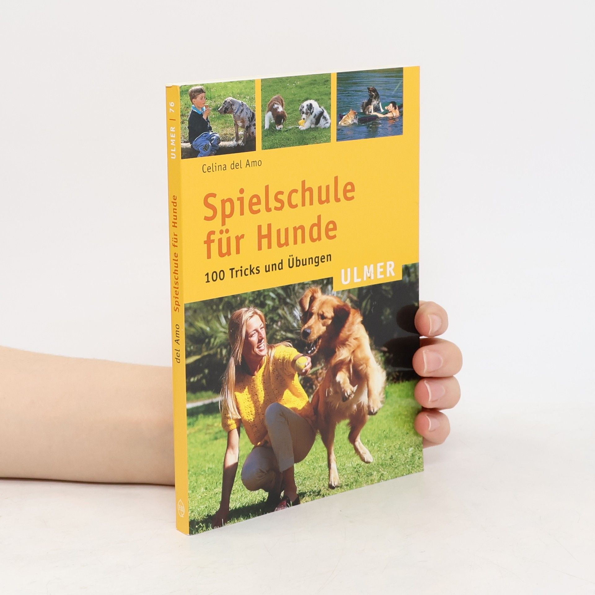 Celina Del Amo Spielschule für Hunde