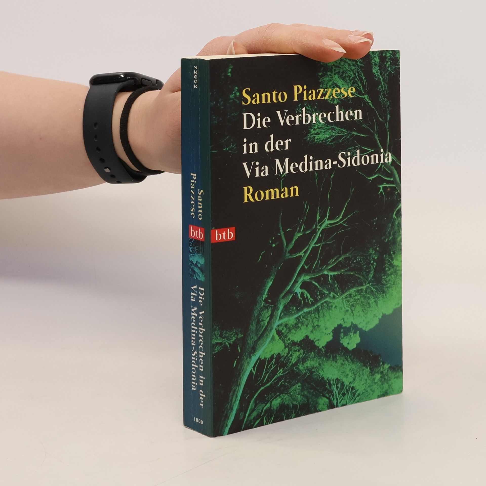 Santo Piazzese Die Verbrechen in der Via Medina-Sidonia