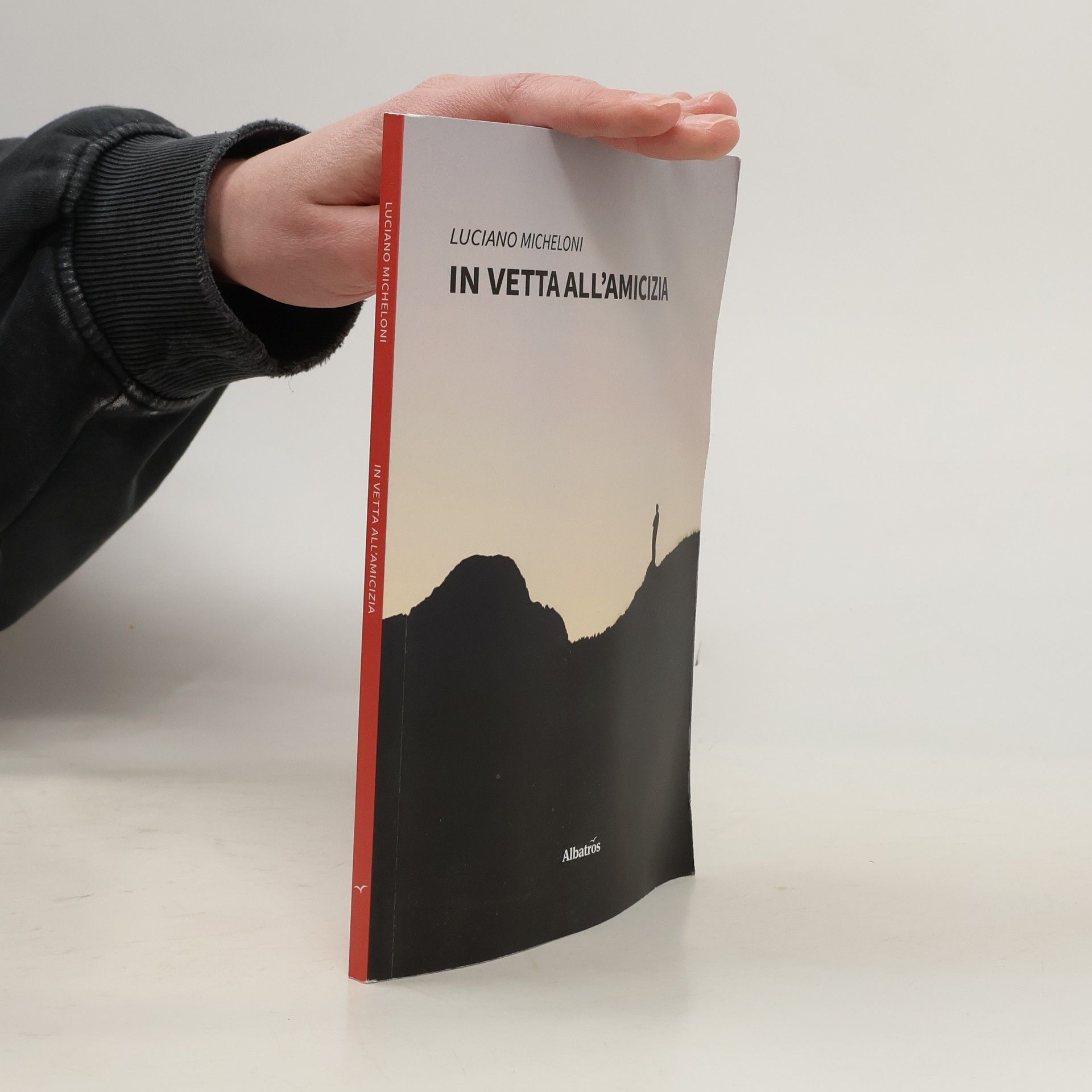 Luciano Micheloni Nuove voci. Vite: In vetta all'amicizia