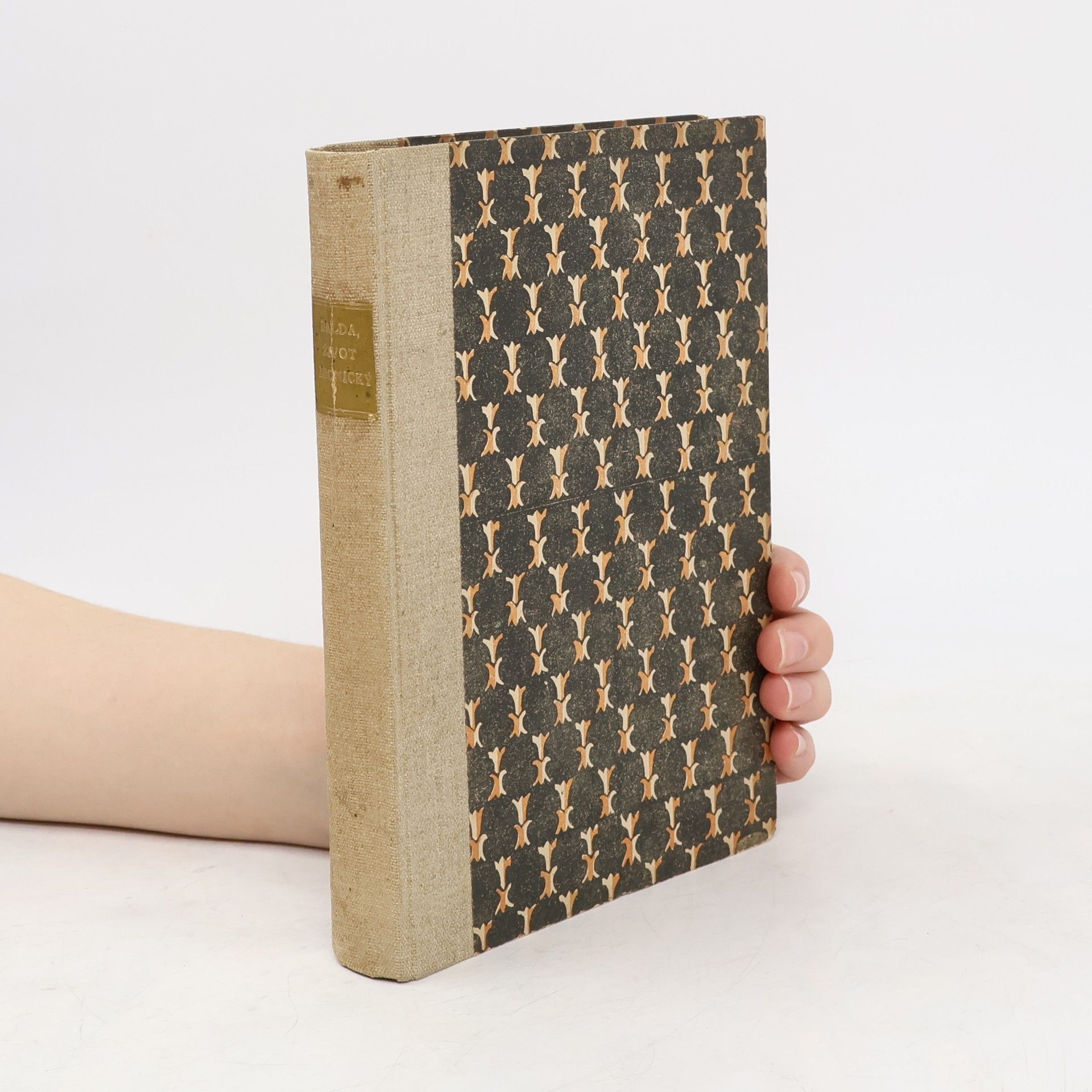 František Xaver Šalda Život ironický a jiné povídky