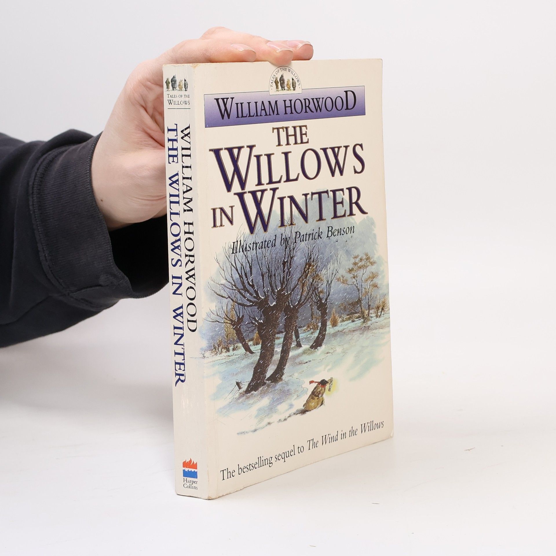 William Horwood The Willows In Winter