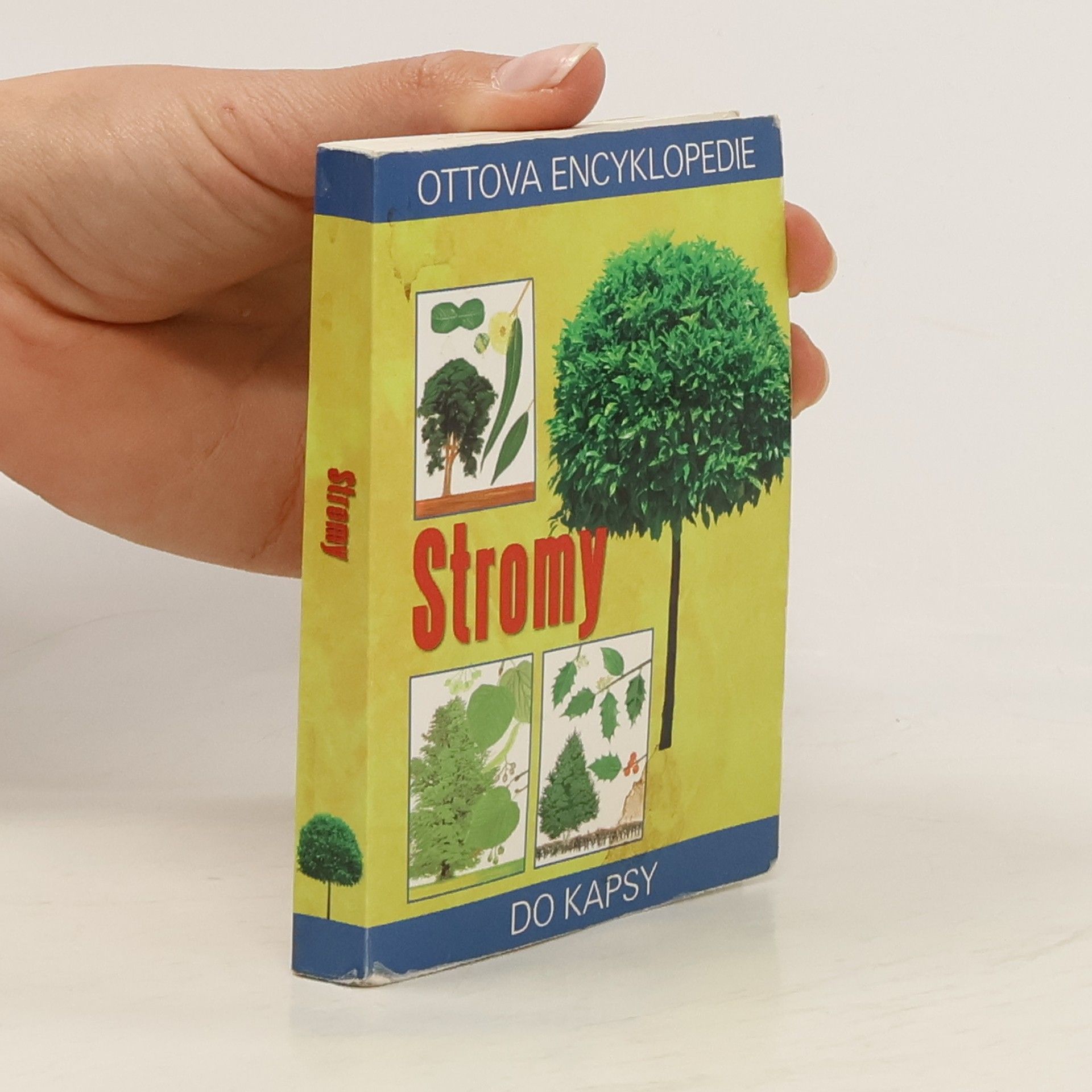 Alastair Fiter Stromy