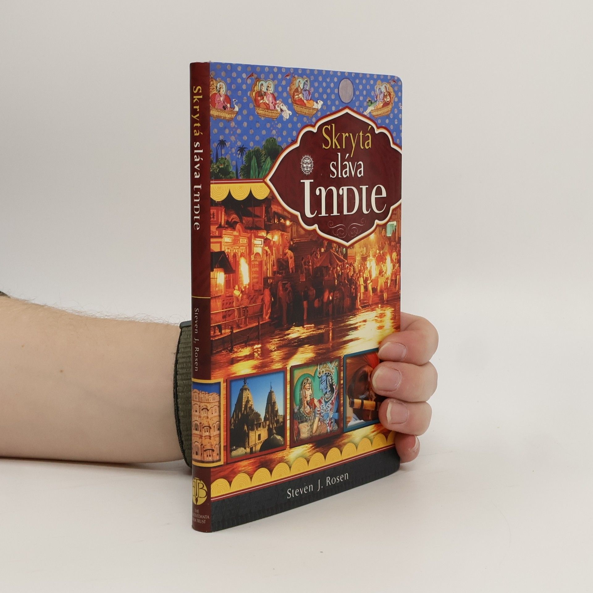 Steven Rosen Skrytá sláva Indie