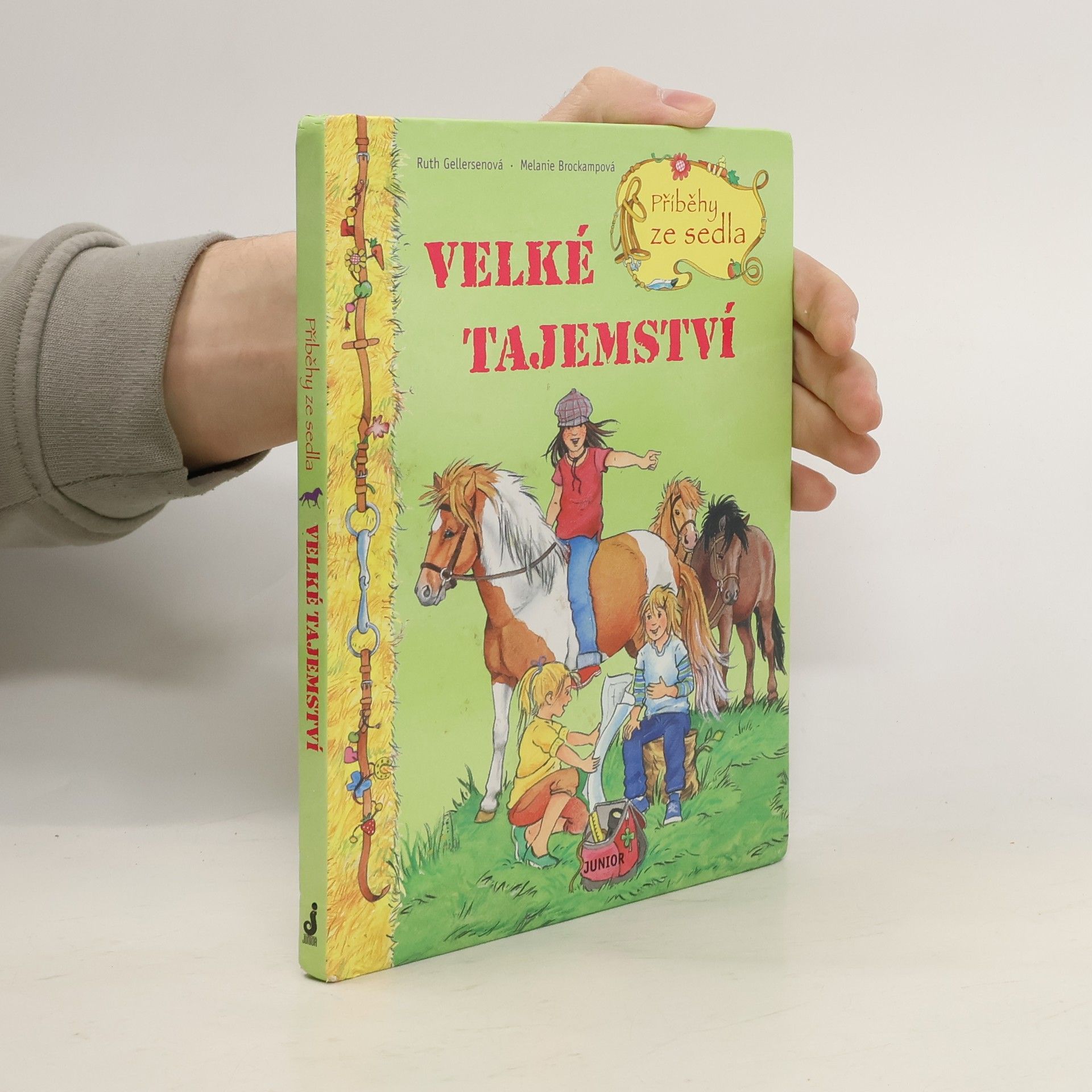 Ruth Gellersen Příběhy ze sedla. Velké tajemství