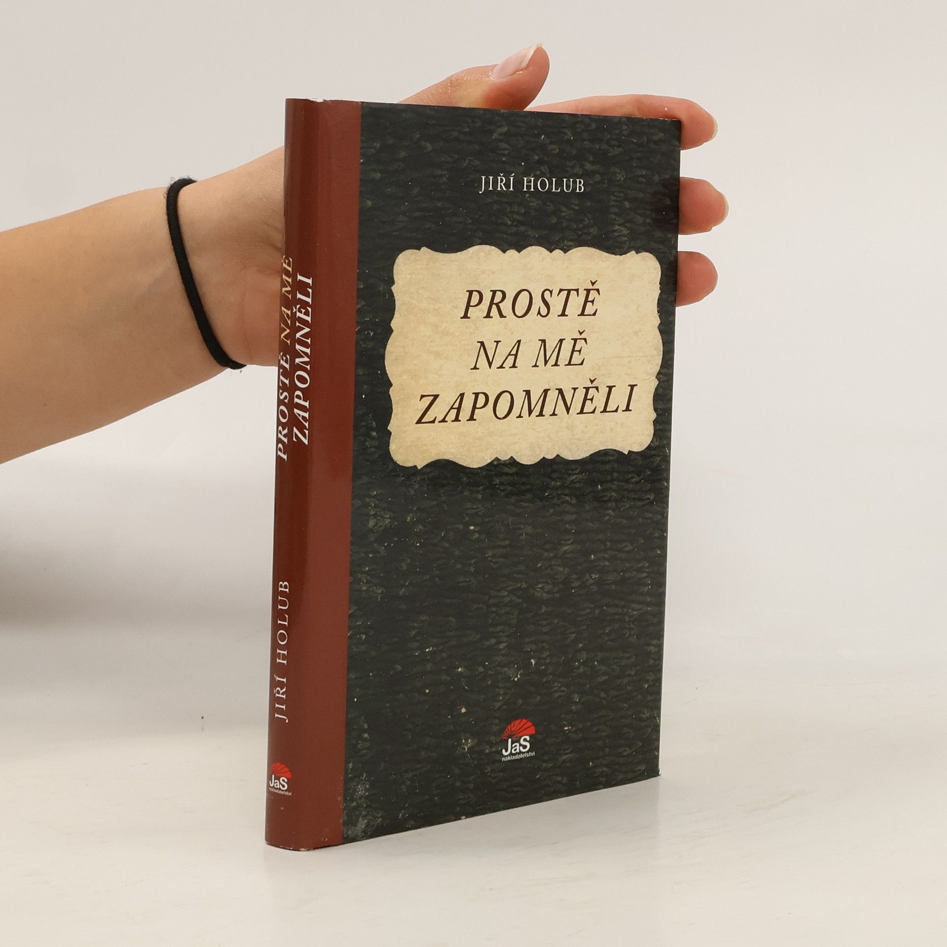 Jiří Holub Prostě na mě zapomněli