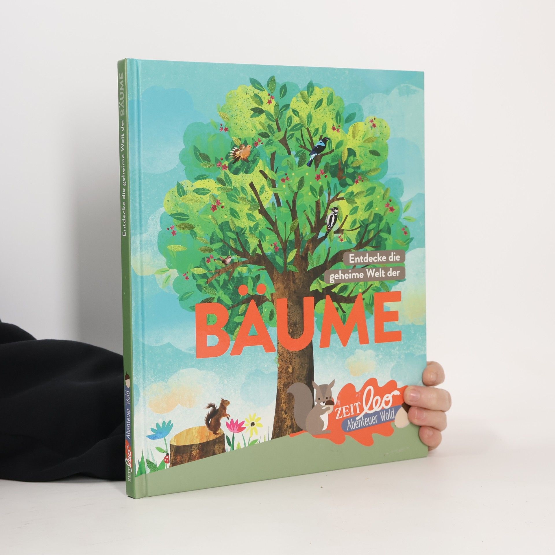 Entdecke die geheime Welt der Bäume