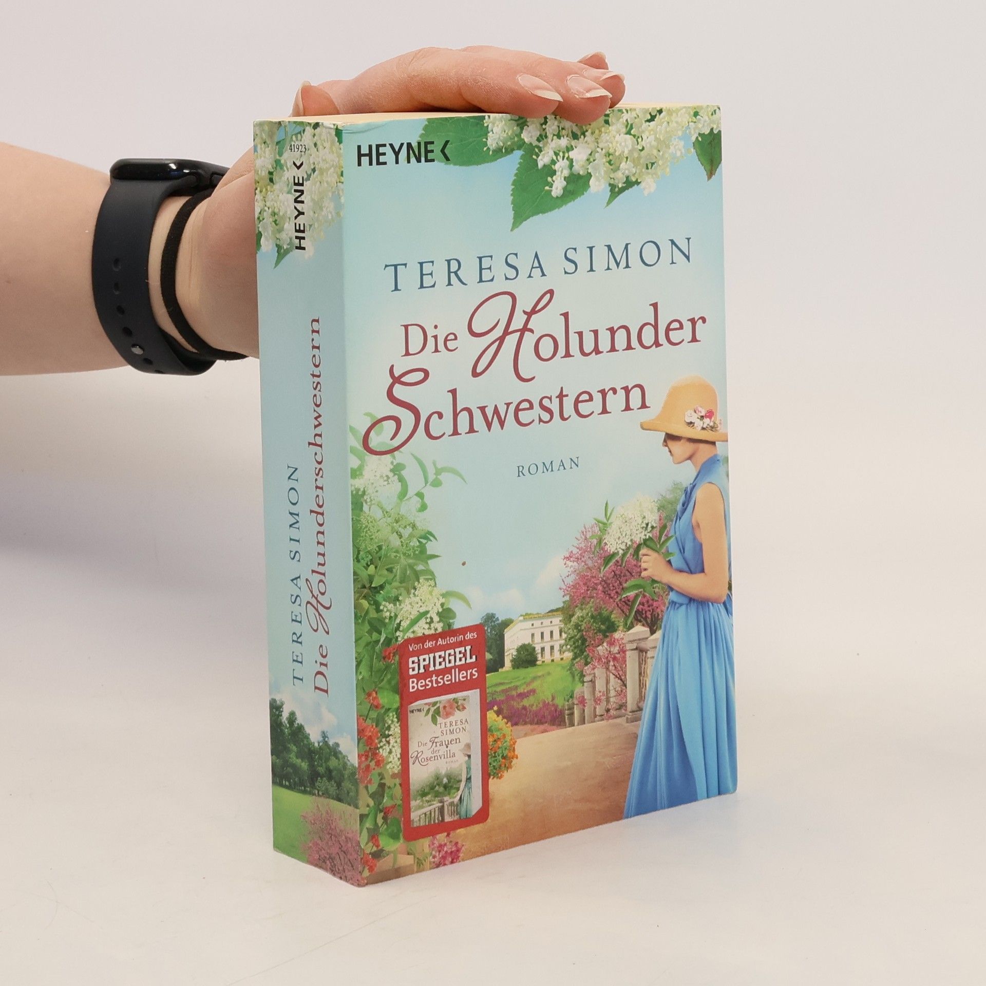 Brigitte Riebe Die Holunderschwestern