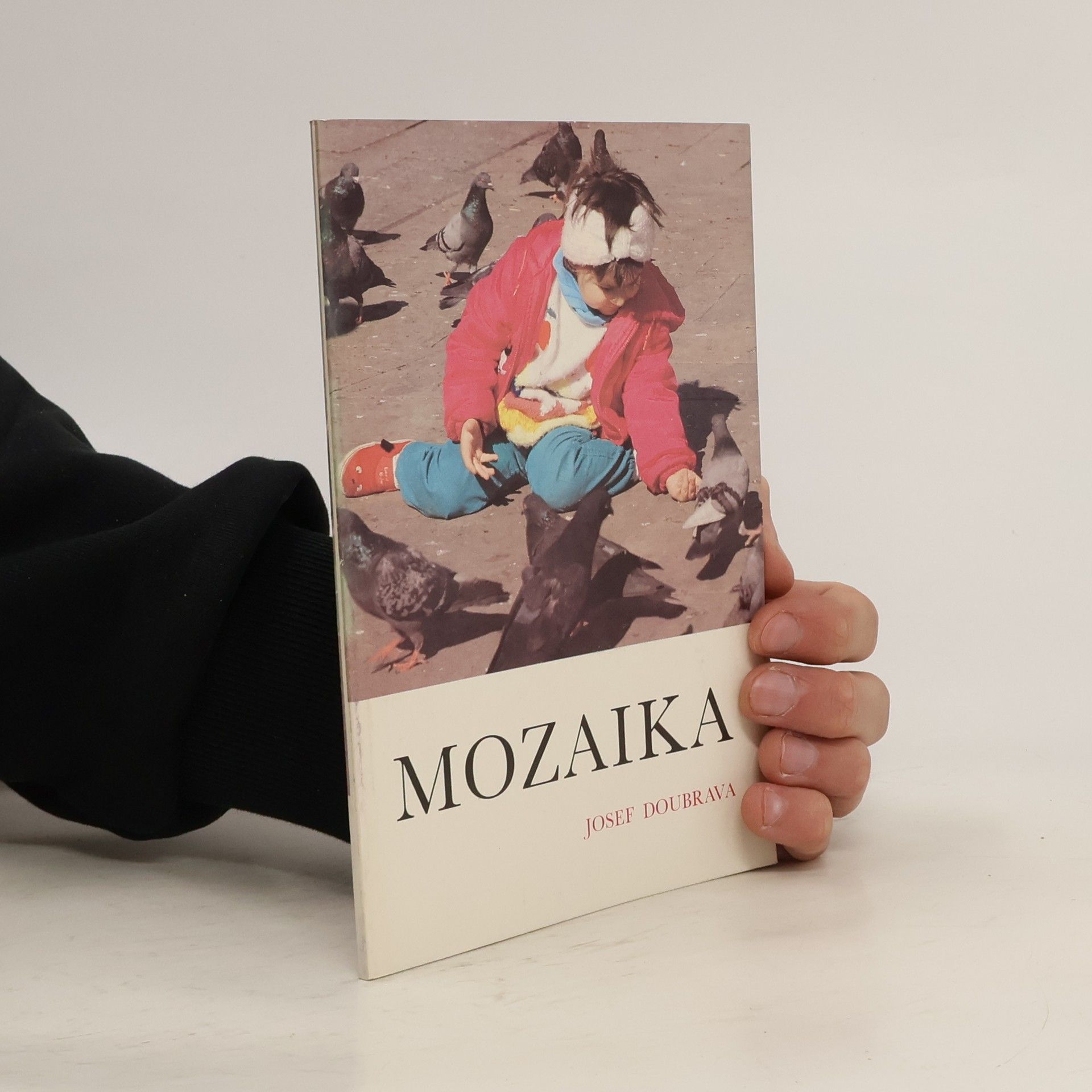 Dominik Josef Doubrava Mozaika