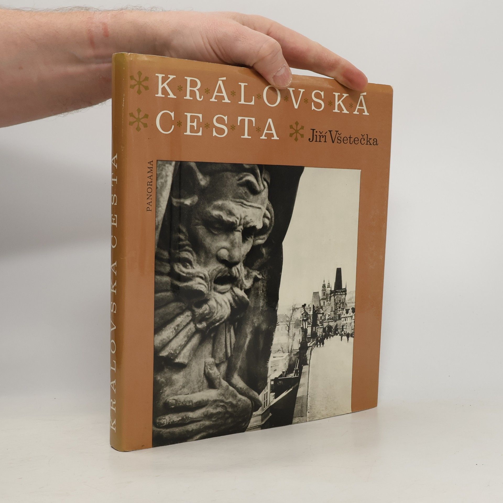 Jiří Všetečka Královská cesta