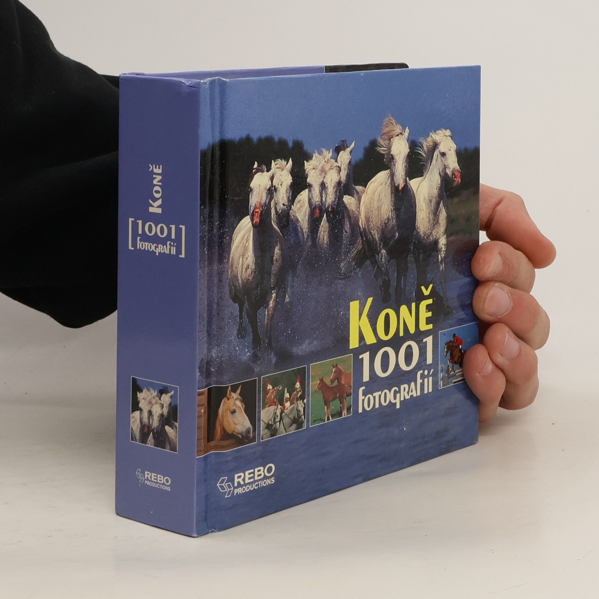 Collectif d'auteurs Koně. 1001 fotografií